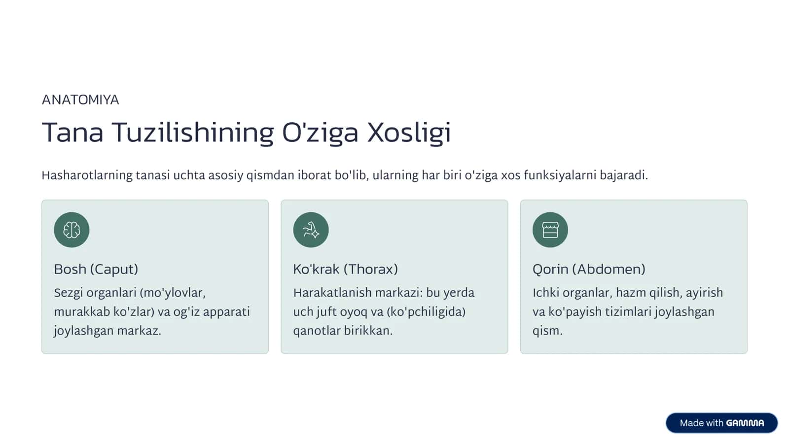 Hasharotlar Olami: Biologik 3