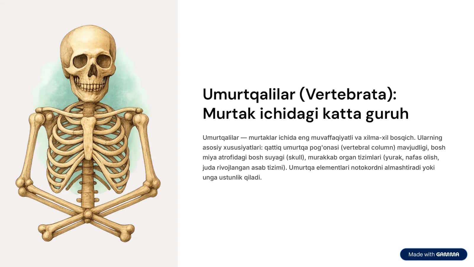 Murtak (Chordata) 3