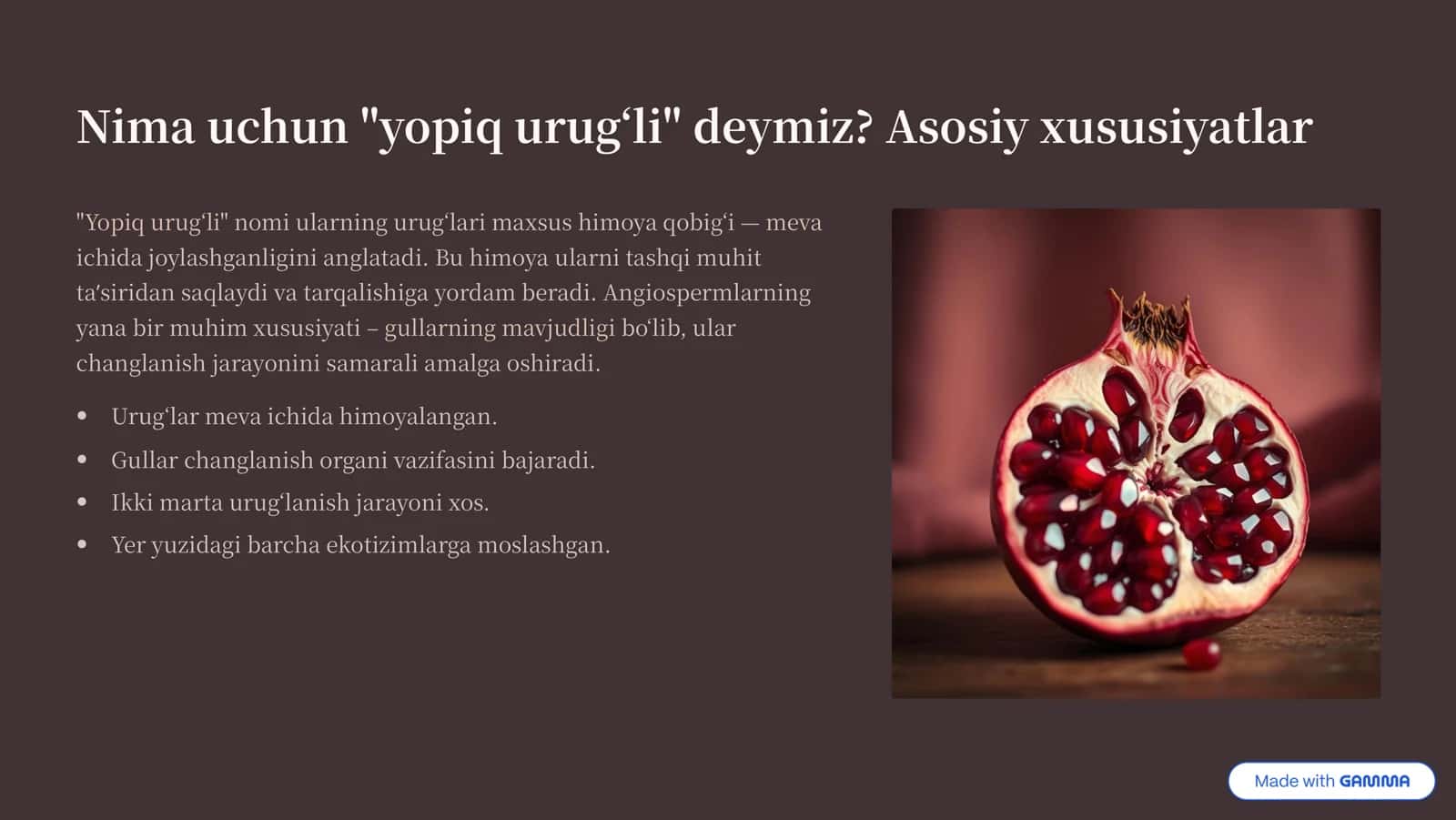 Yopiq Urug»li O»simliklar 3