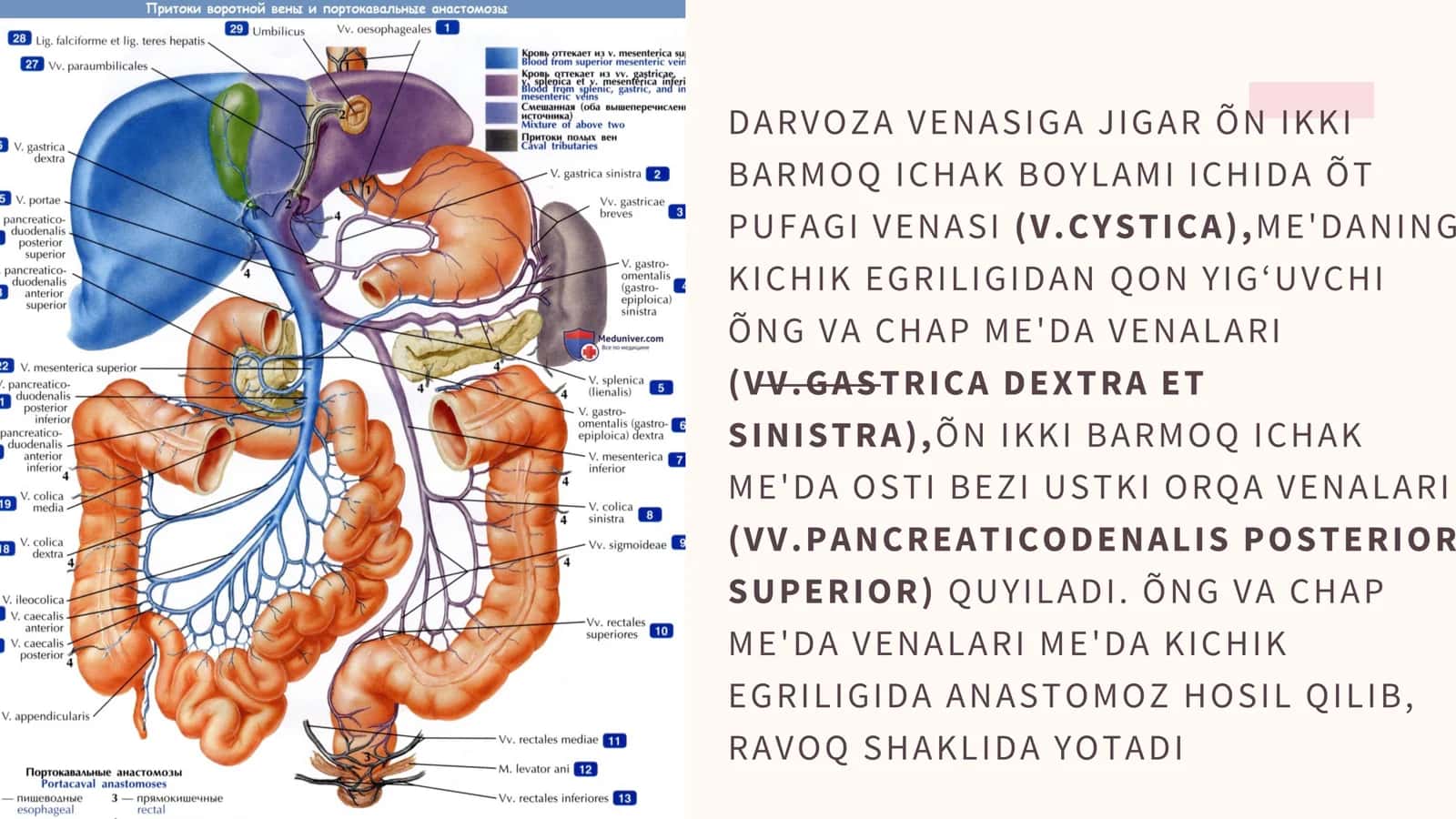 The Anatomy of an Excellent Presentation 3