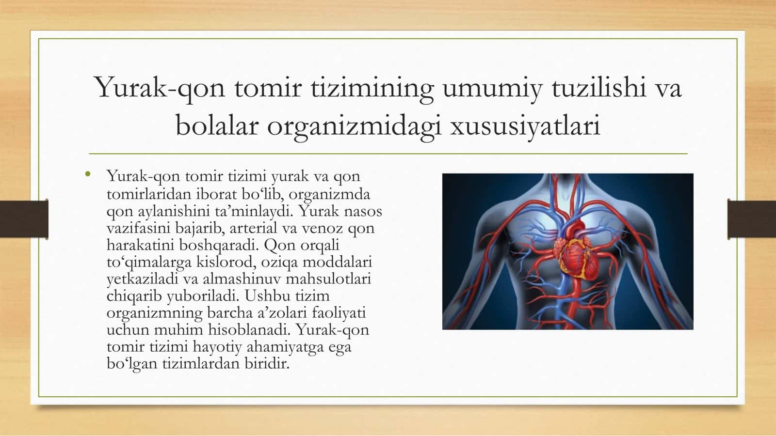 Yurak-qon tomir tizimi tuzilishi 3