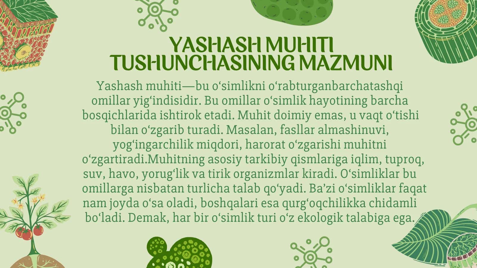 OʻSIMLIKLARNING YASHASH MUHITI 3