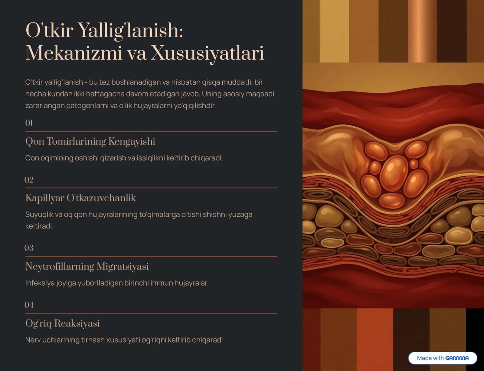 Yallig'lanish: Bosqichlari va Belgilari 3