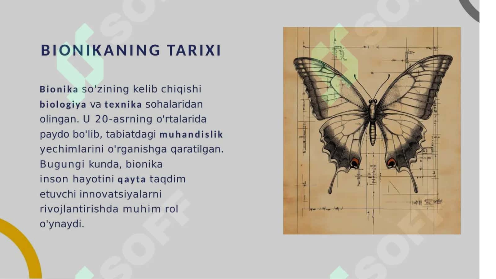 Eʼtiboringiz uchun 3