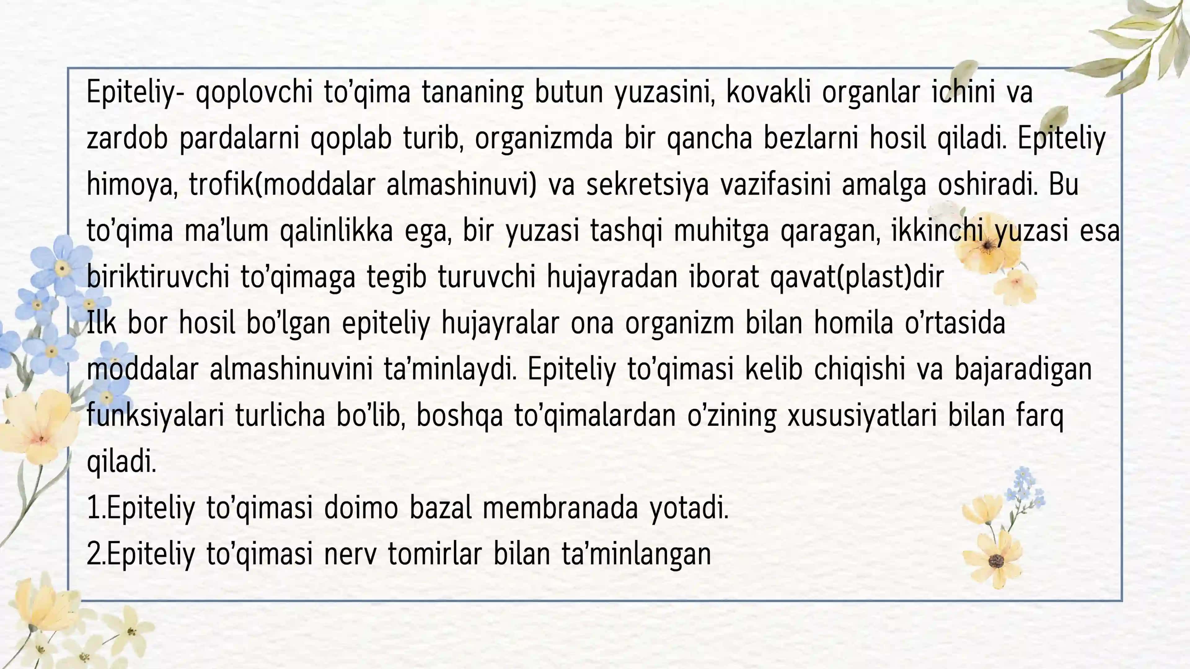 Epiteliy to'qimasi. Ko'p qavatli epitiley. 3