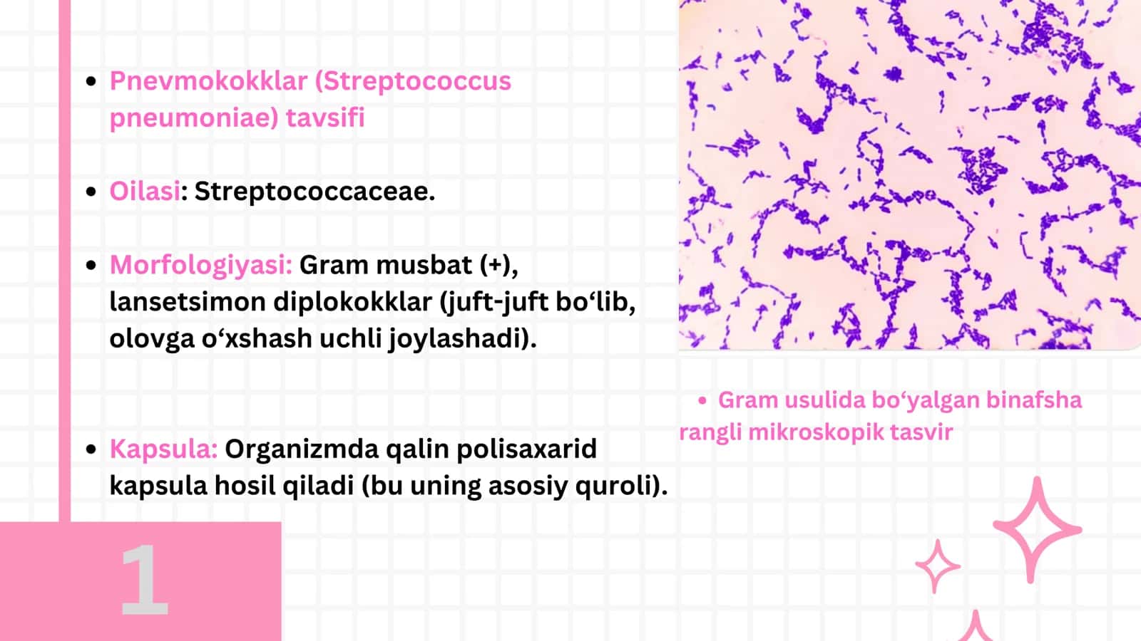 Mikrobiologiya mustaqil ish 3