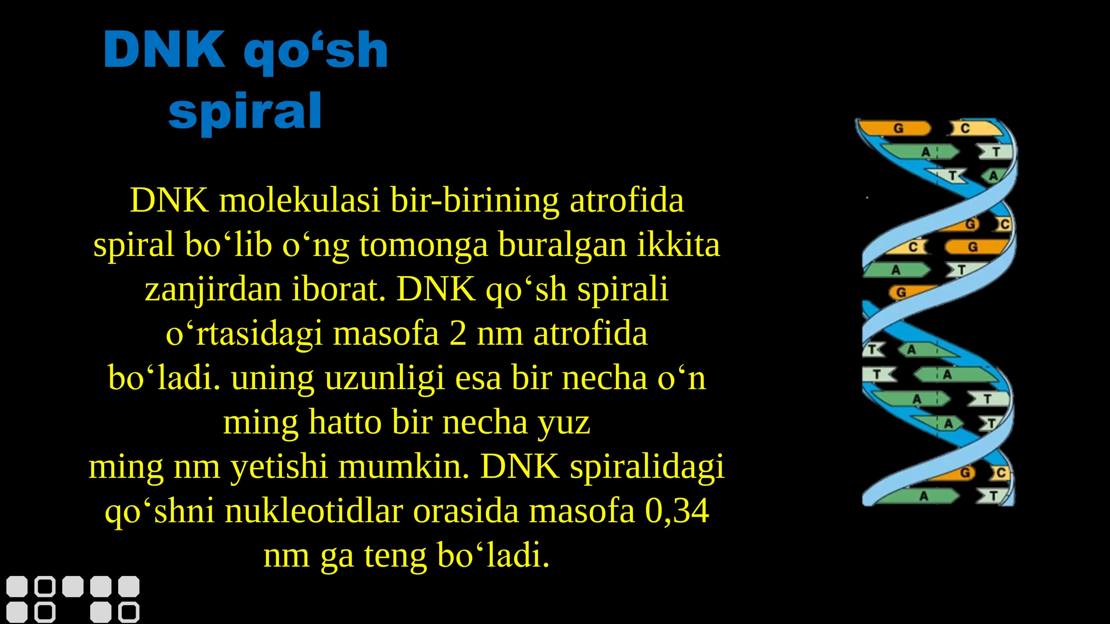 Nuklein kislotalar tuzilish va funksiyalari 3