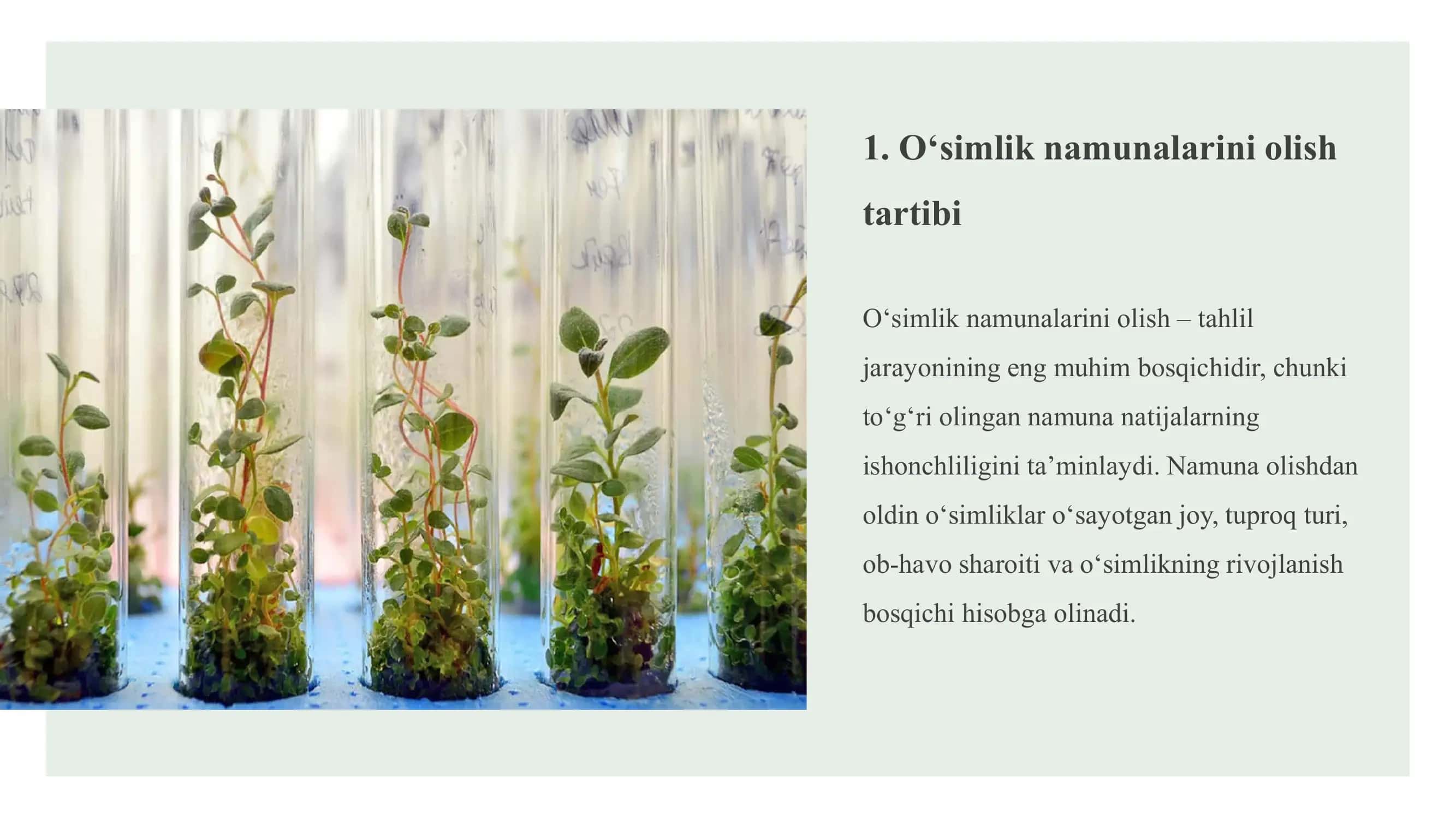 Oʻsimlik namunalarini olish va uni tahlilga tayyorlash 3