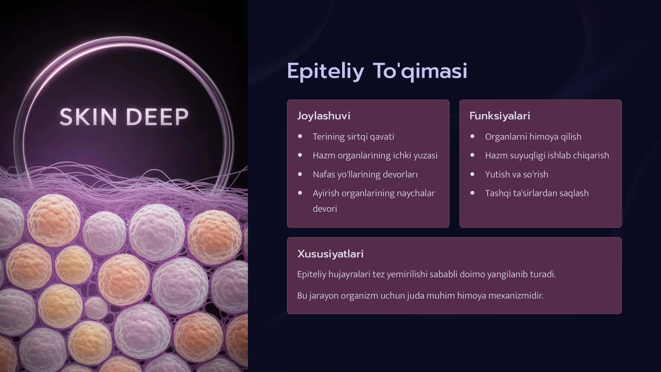 To'qimalar, Organlar va Organizm 3