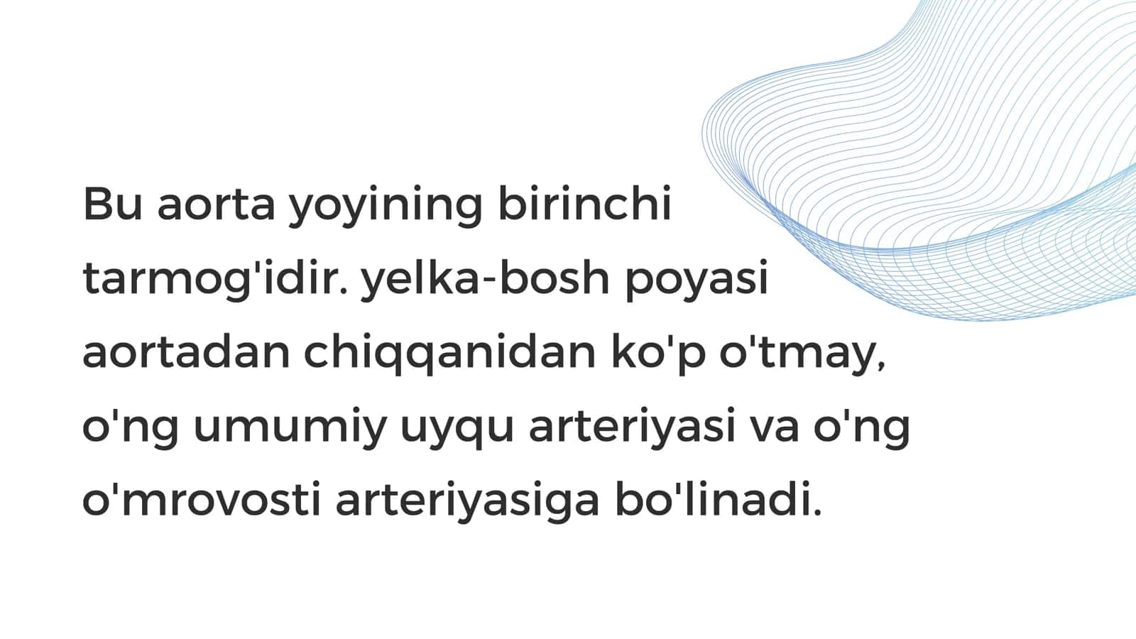 Yelka-bosh poyasi 3