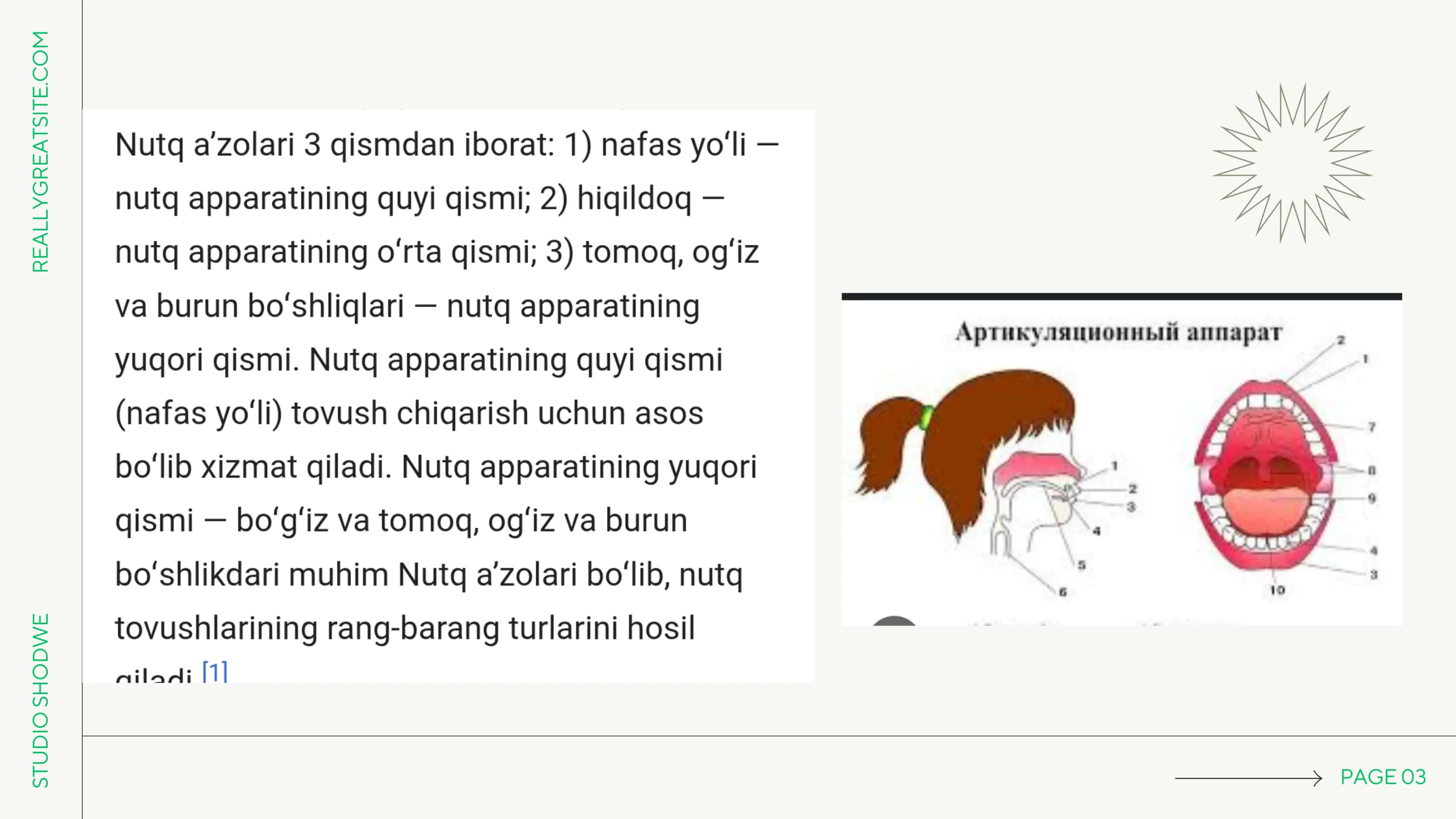 Nutq apparati a'zolari bilan tanishish 3