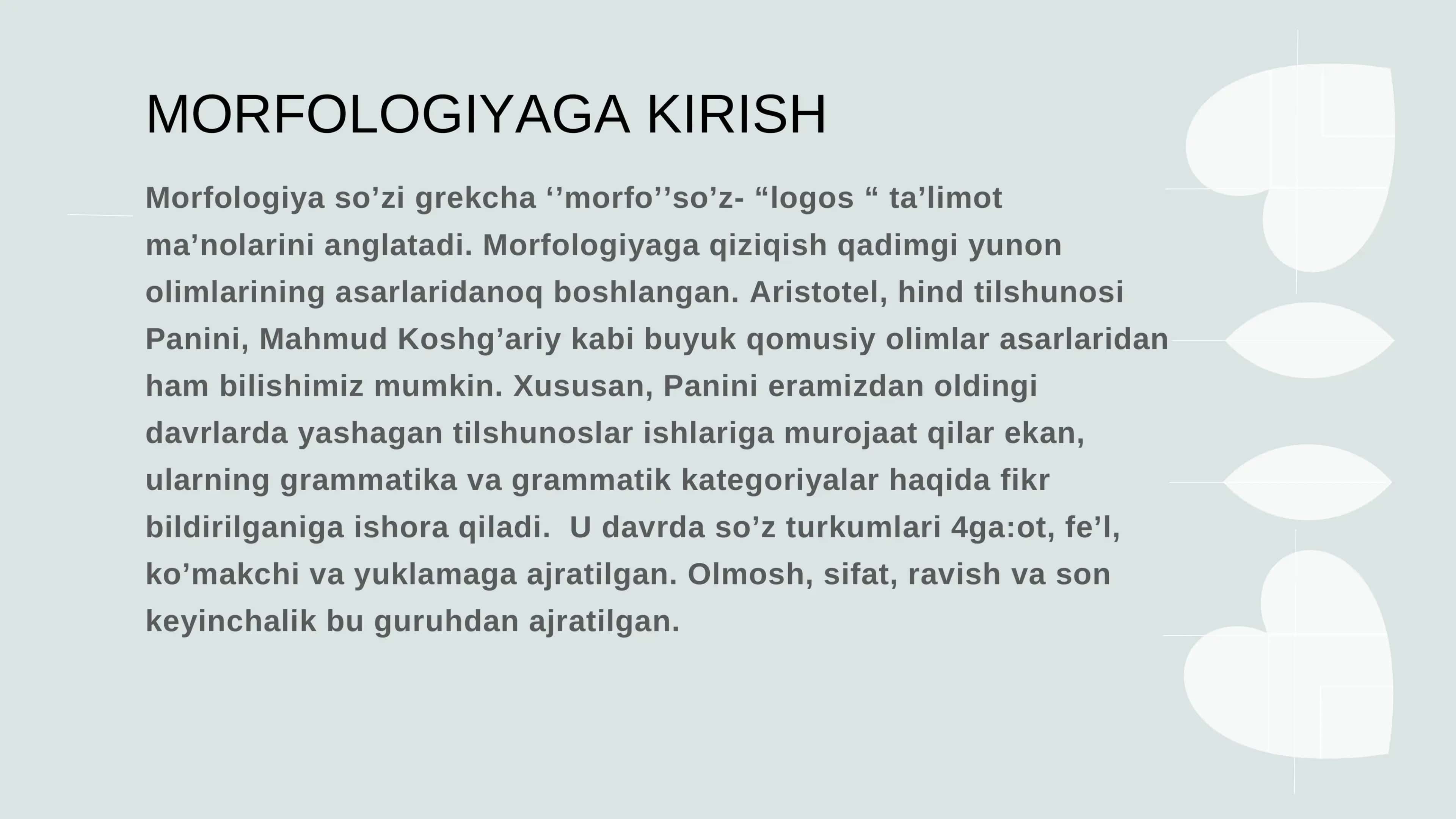 Morfologiya. Mustaqil so’zlar 3