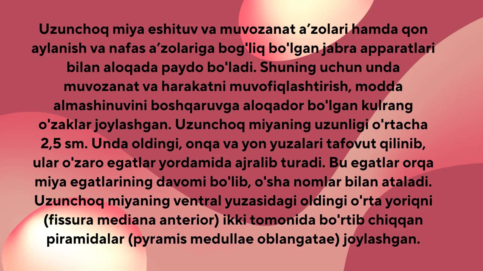 uzunchoq miya 3