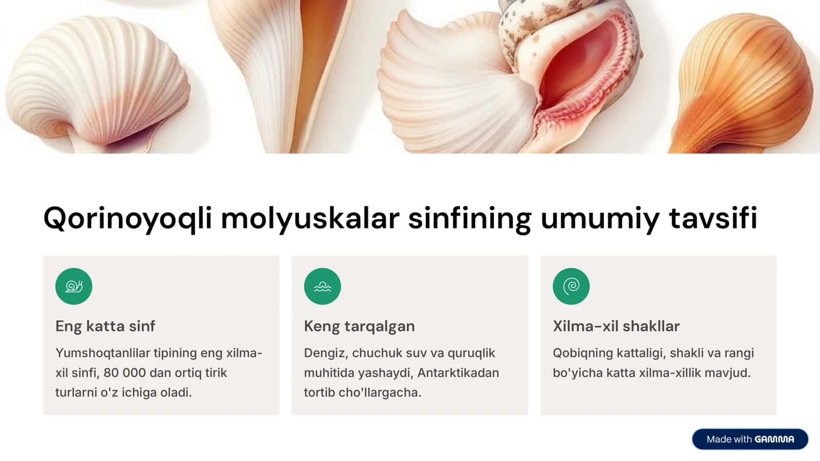 Qorinoyoqli molyuskalar 3