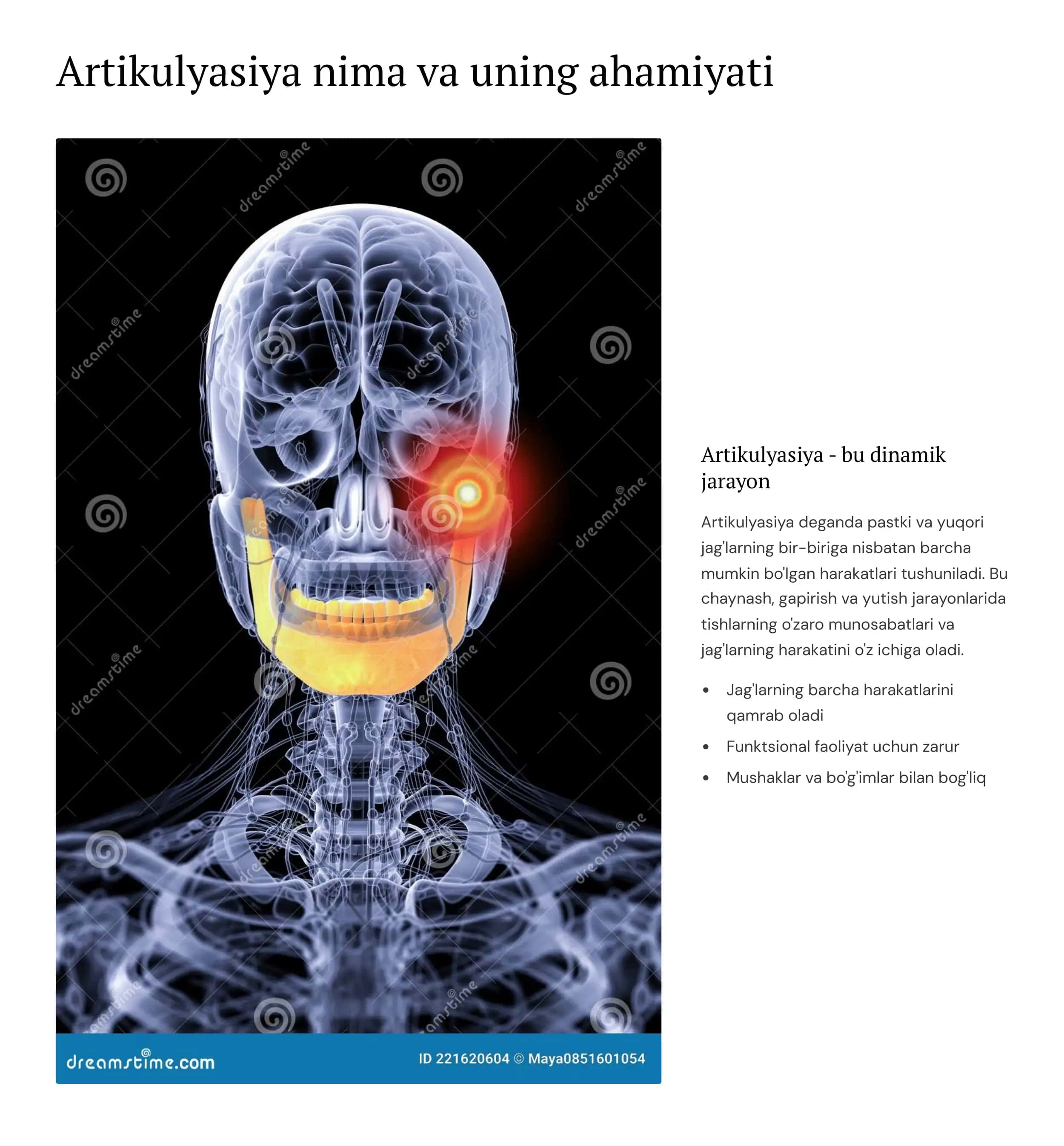 Artikulyasiya va okklyuziya 3