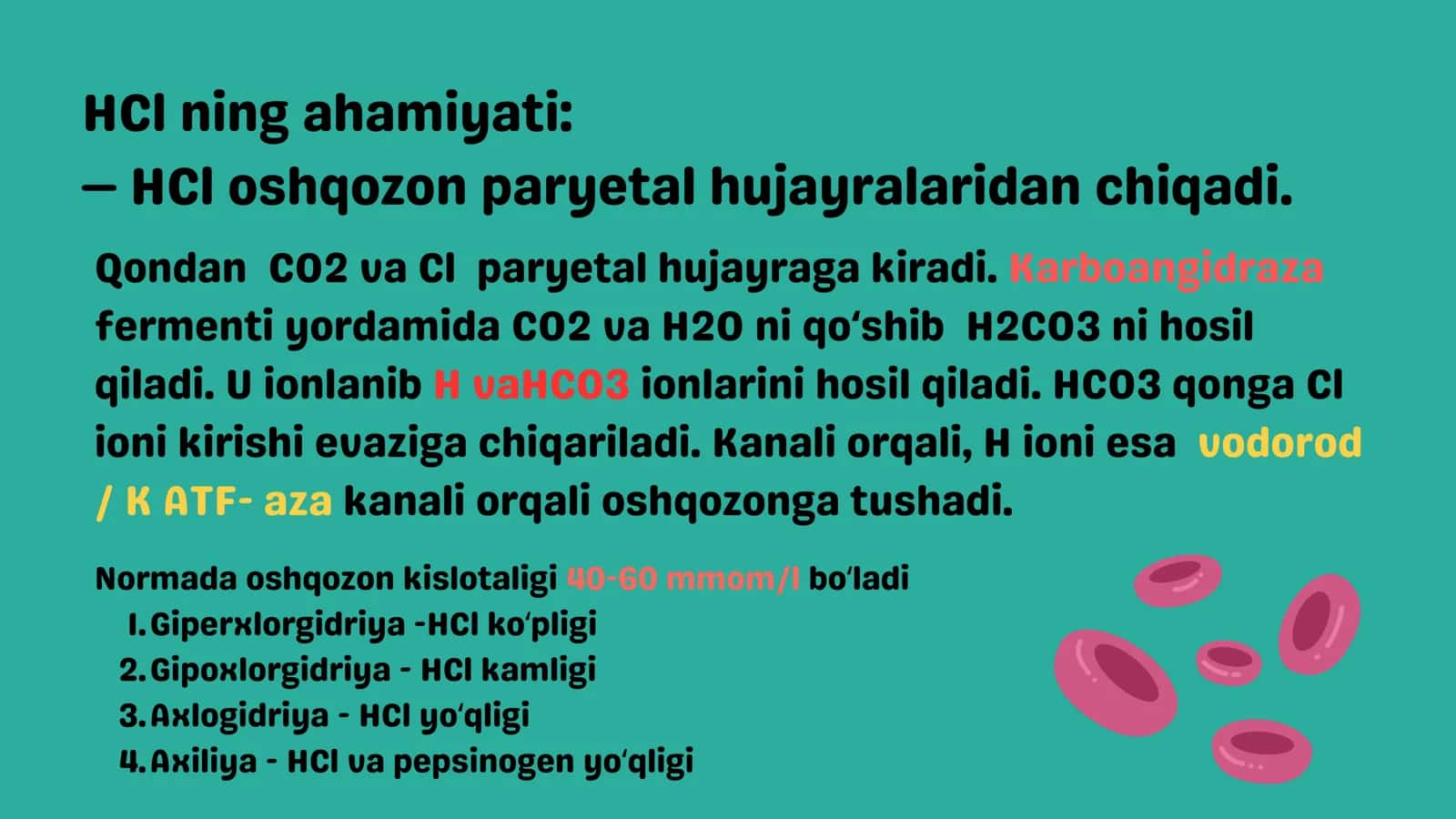 Oqsillar hazmining regulatsiyasi 3