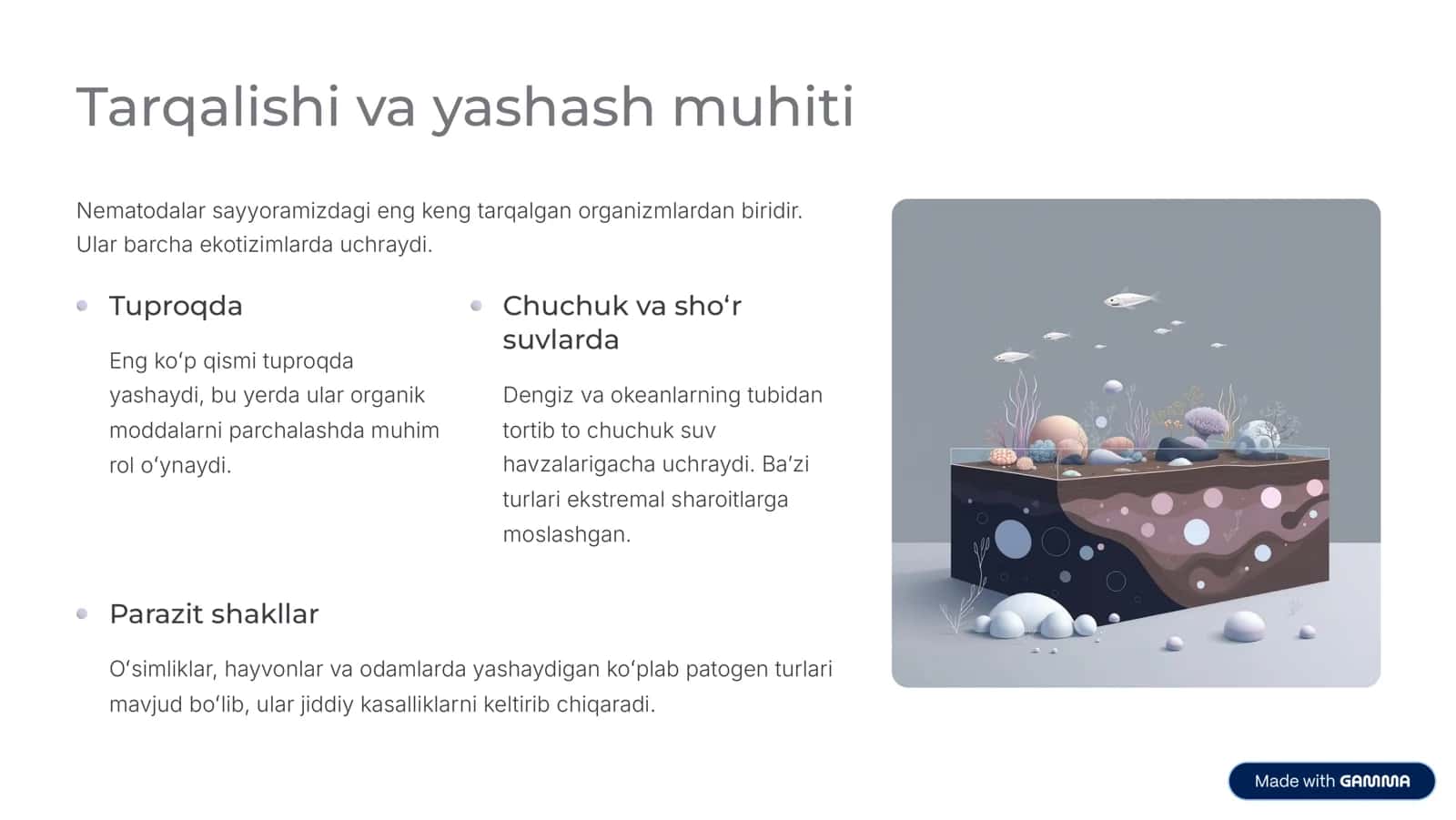 To'garak chuvalchanglar (Nematodalar) 3