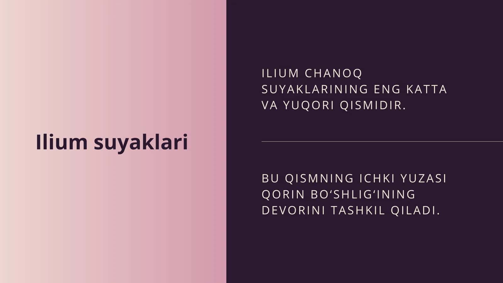 Chanoq kamari tuzilishi 3