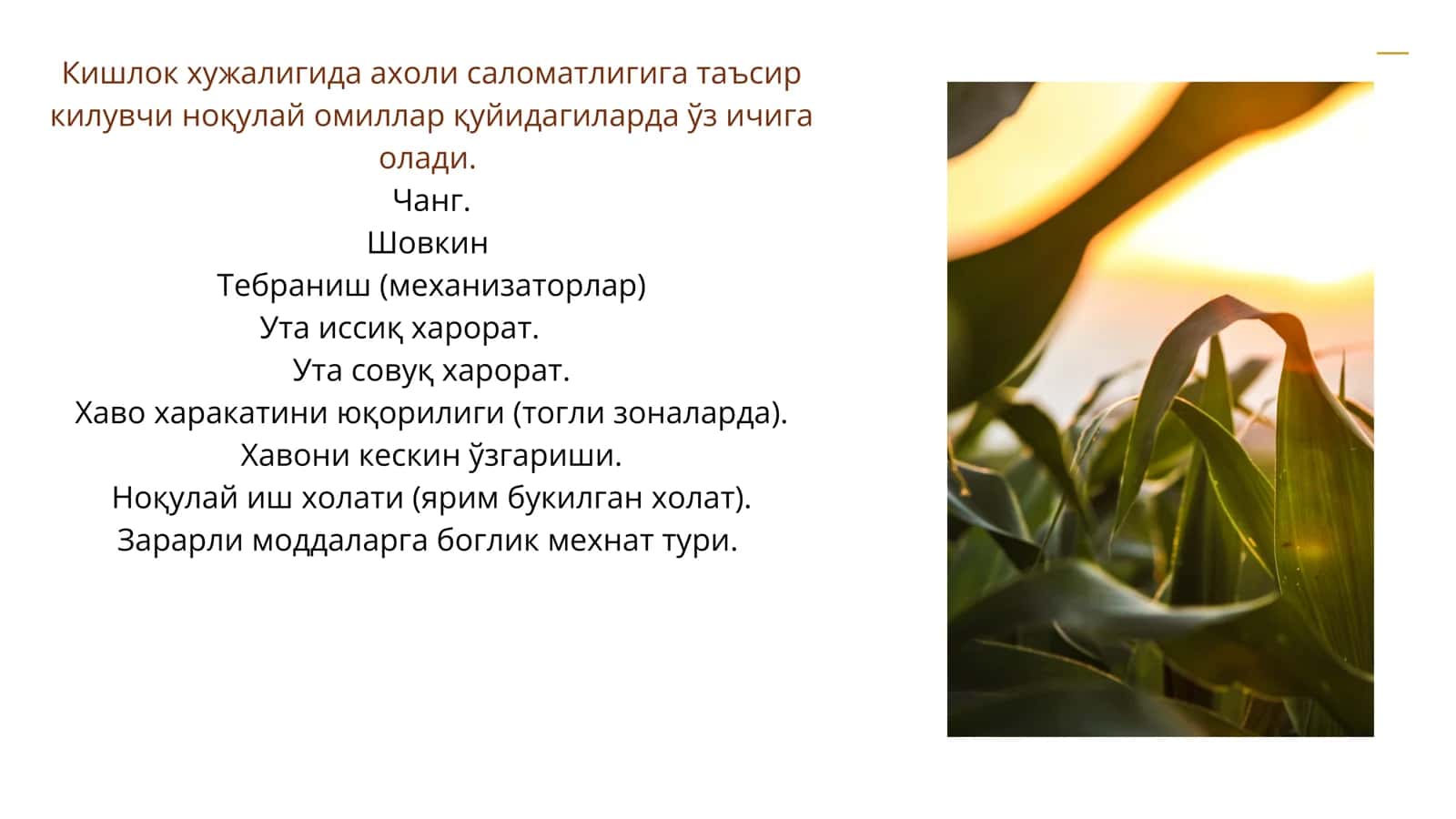 Замонавий пахтачиликда мехнат гигиенаси 3