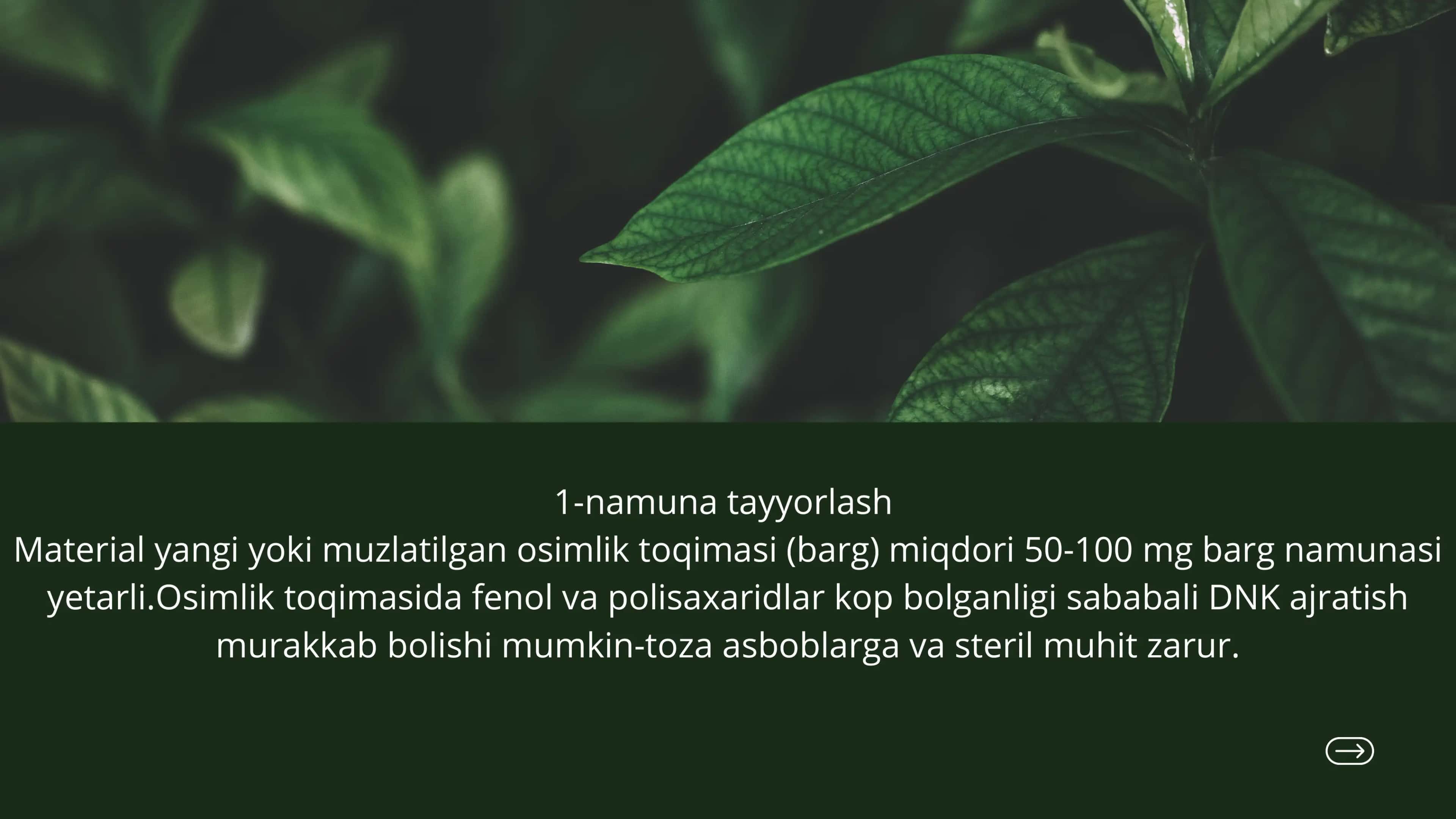DNK haqida prezintatsiya 3
