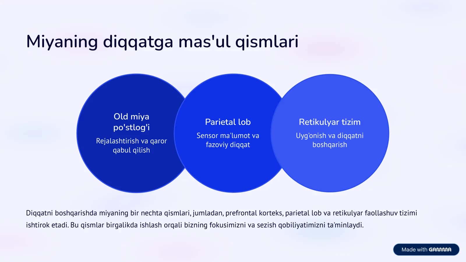 Diqqat va uni rivojlantirish 3