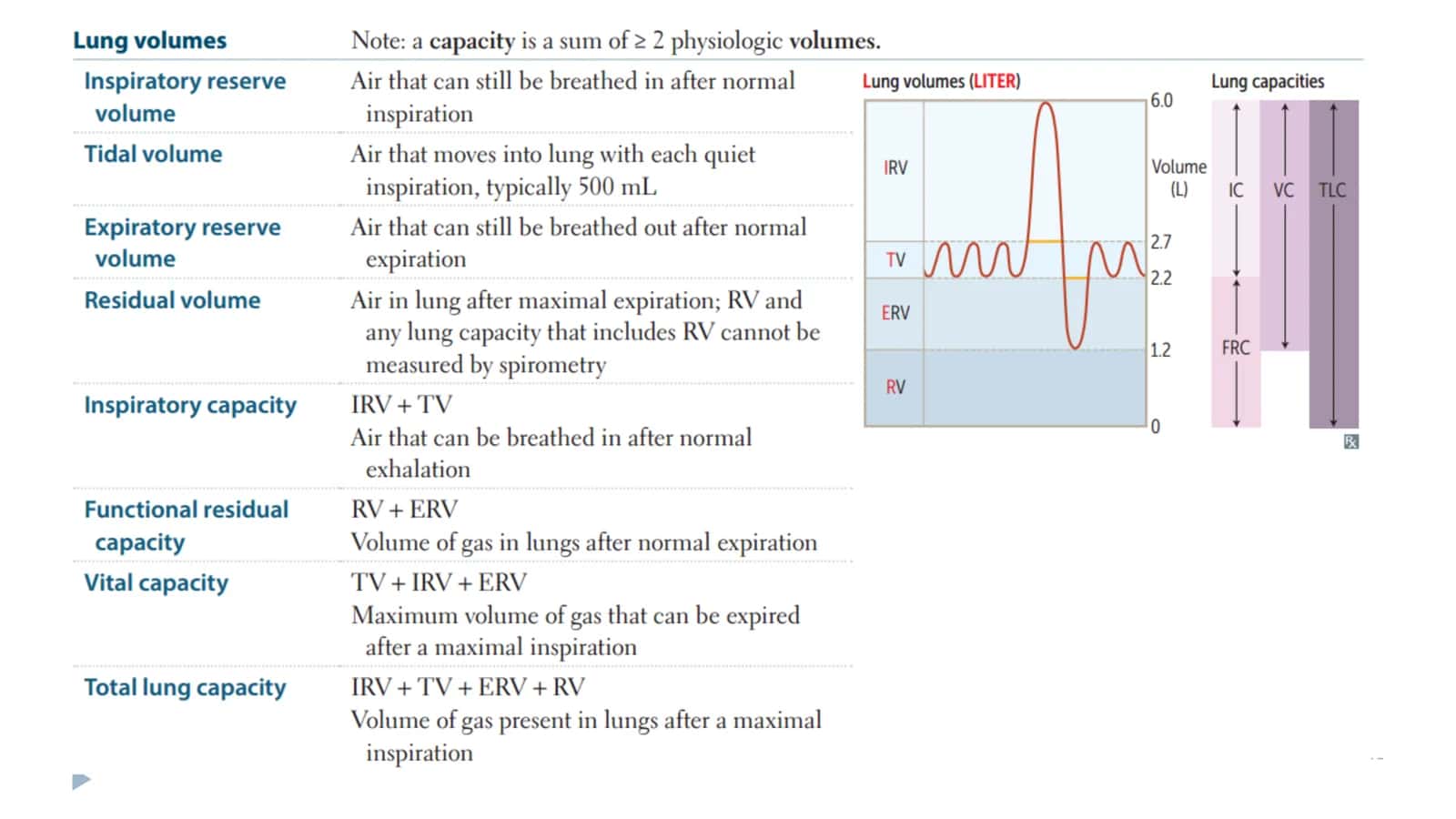 PHYSIOLOGY 3