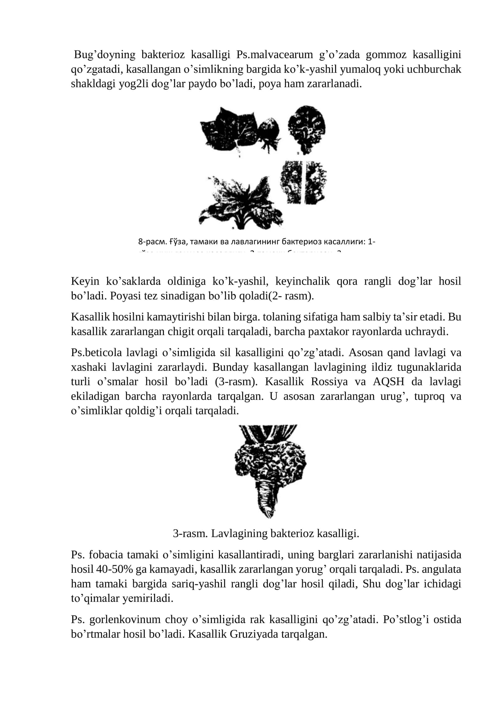 MIKRORGANIZMLARNING O’ZARO VA BOSHQA ORGANIZMLAR BILAN MUNOSABATI 3