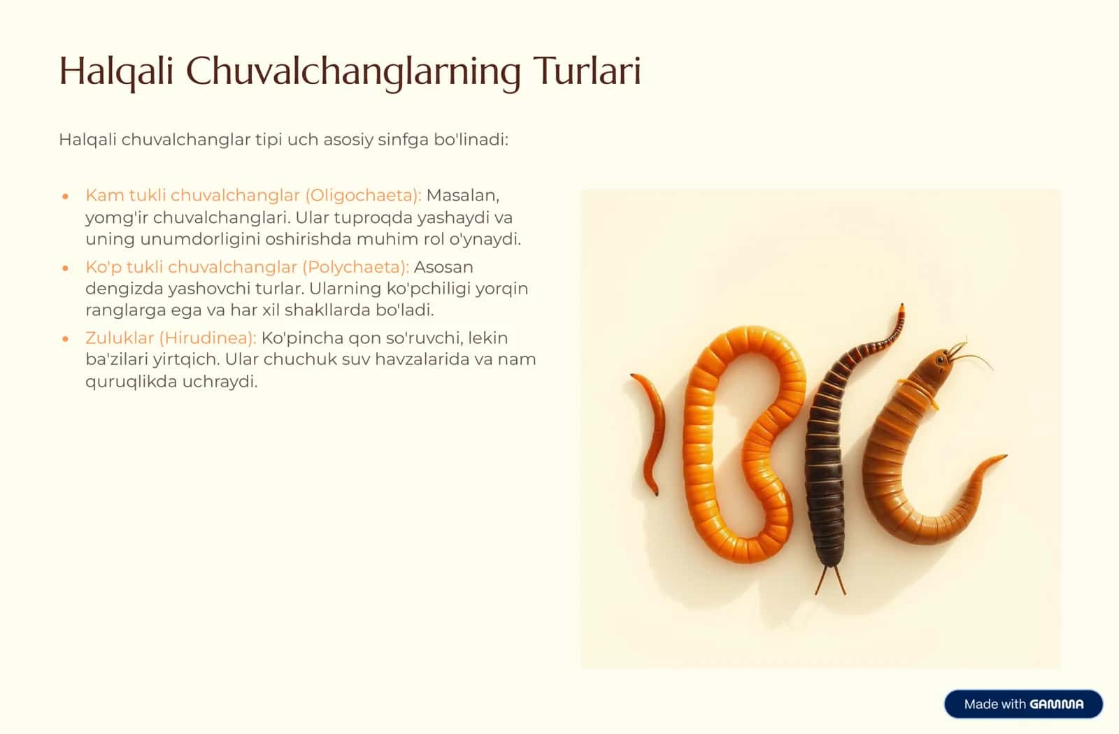 Halqali Chuvalchanglar 3