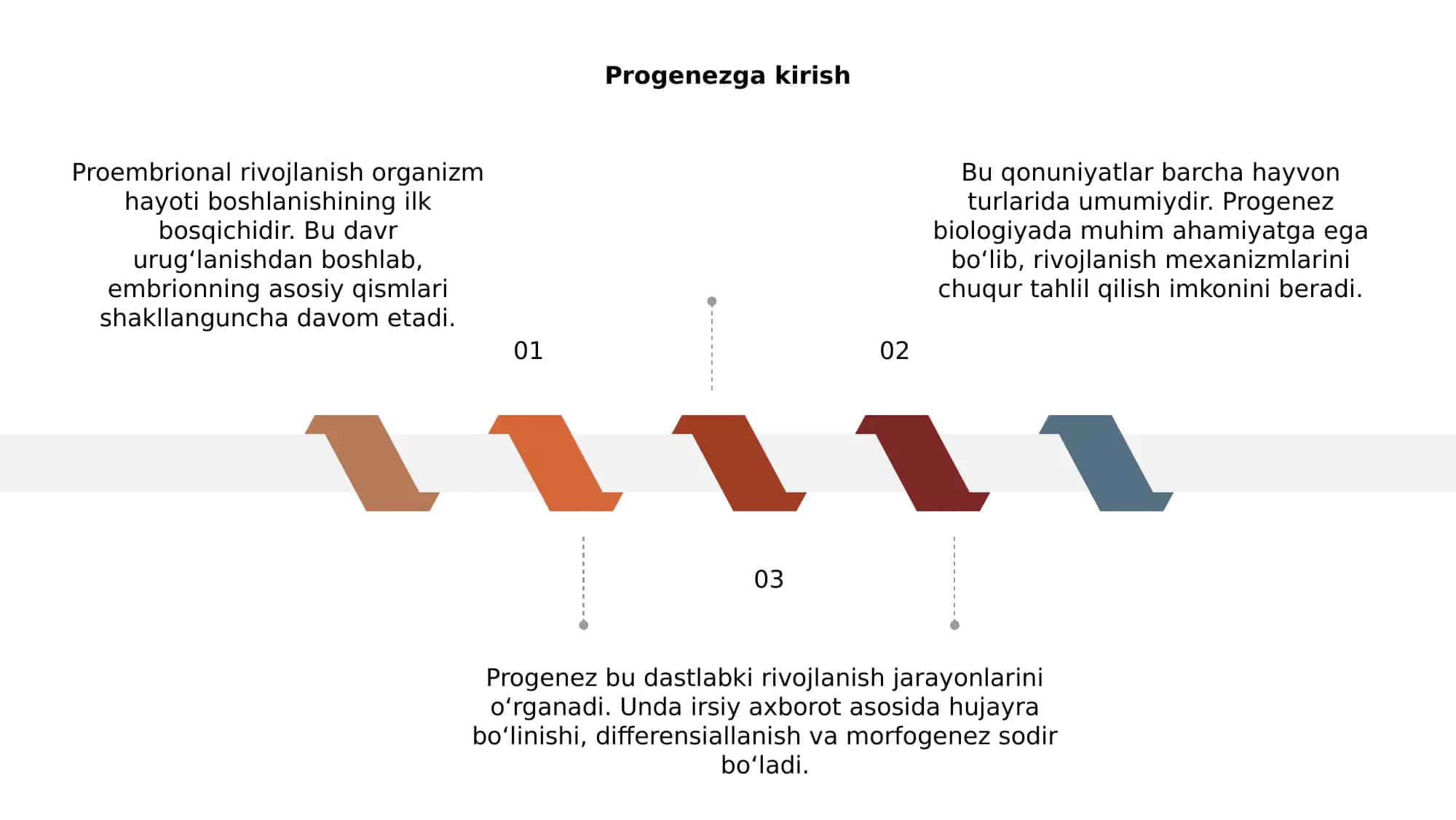 Progenez-proembrional rivojlanish 3