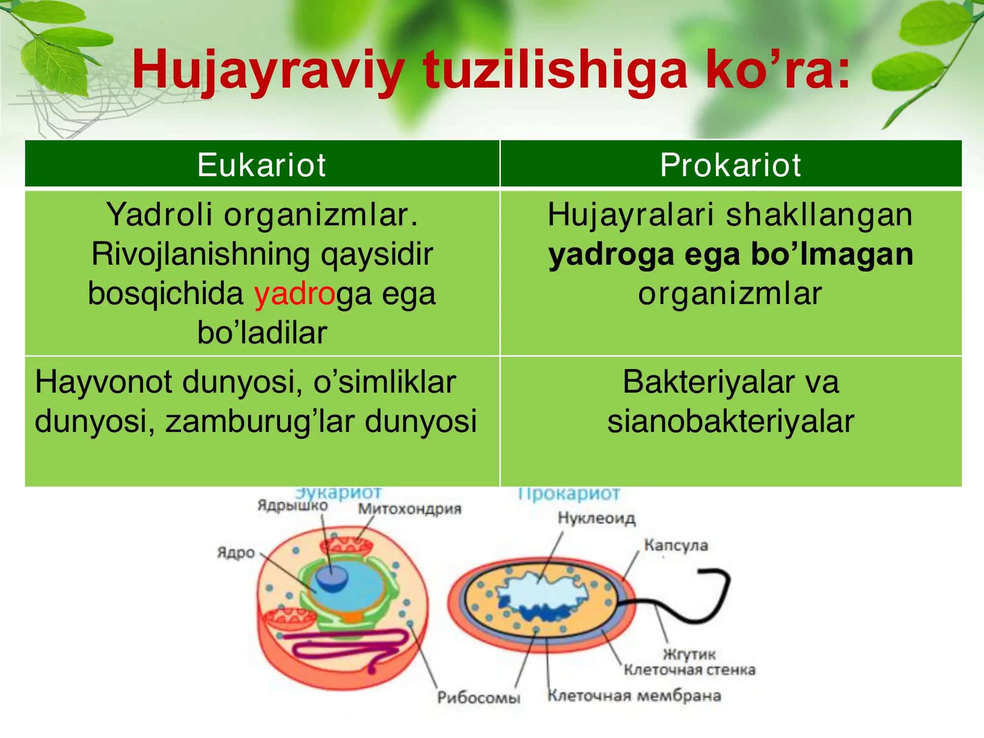Zamburug'lar 3