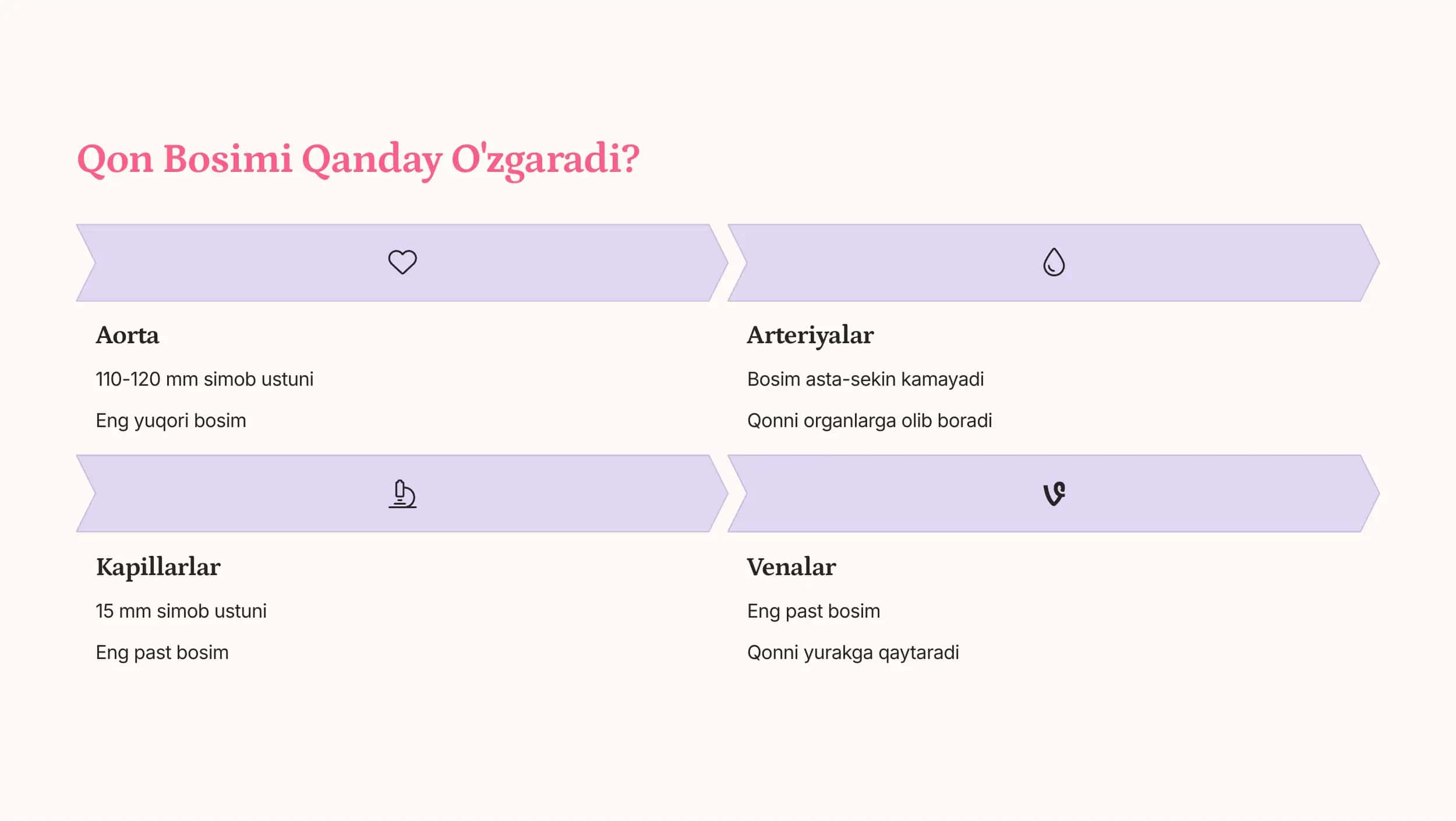 Qon Aylanish Sistemasi 3