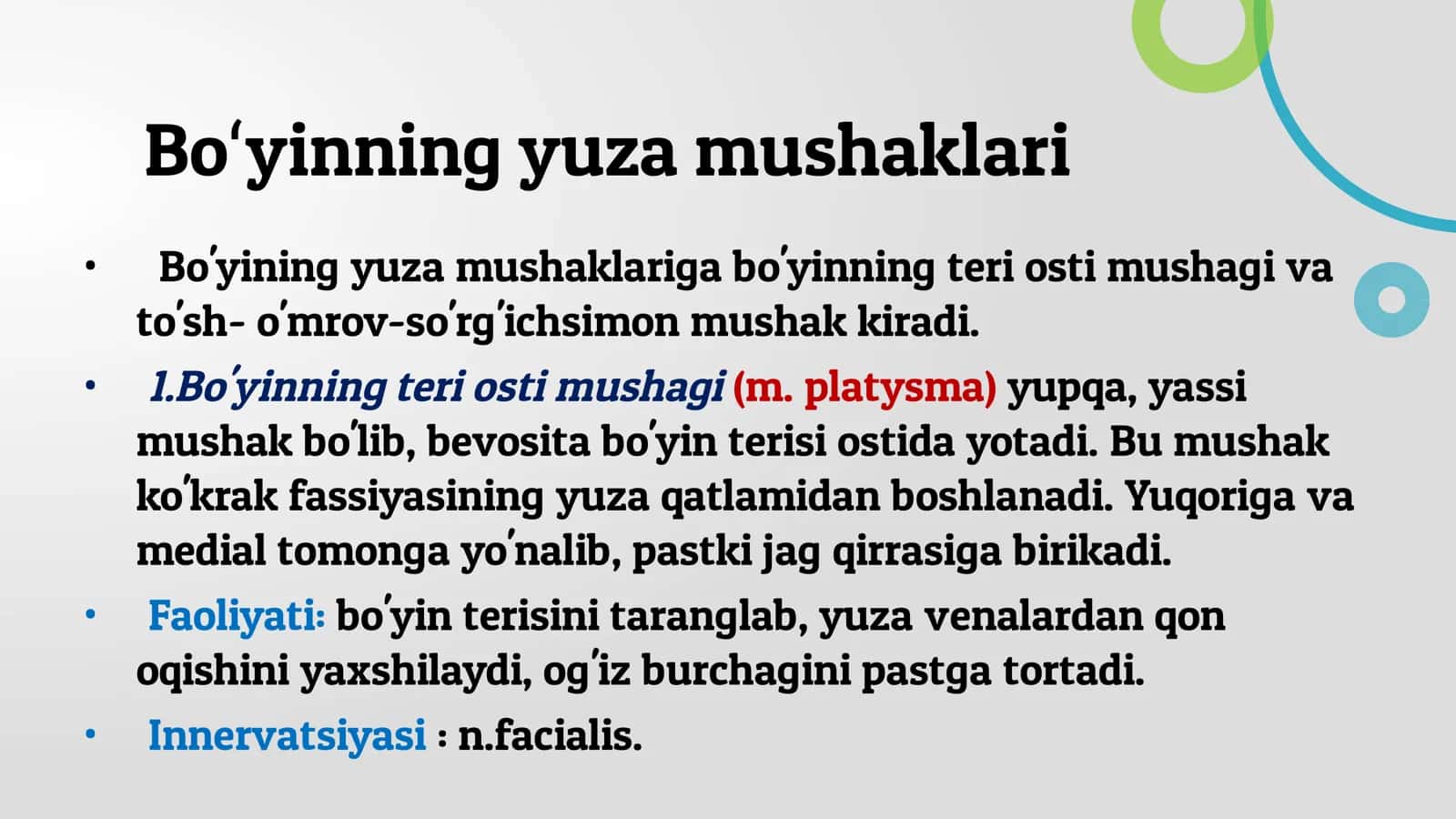 Boʻyin Mushaklari 3