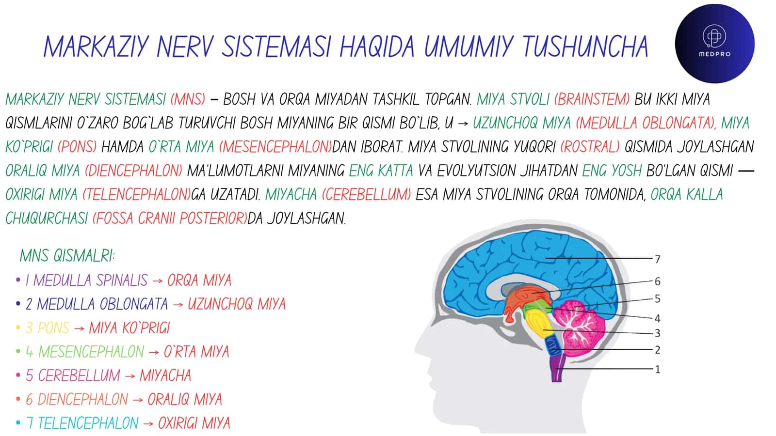 MARKAZIY NERV SISTEMASI FUNKSIONAL ANATOMIYASI 1-dars 3