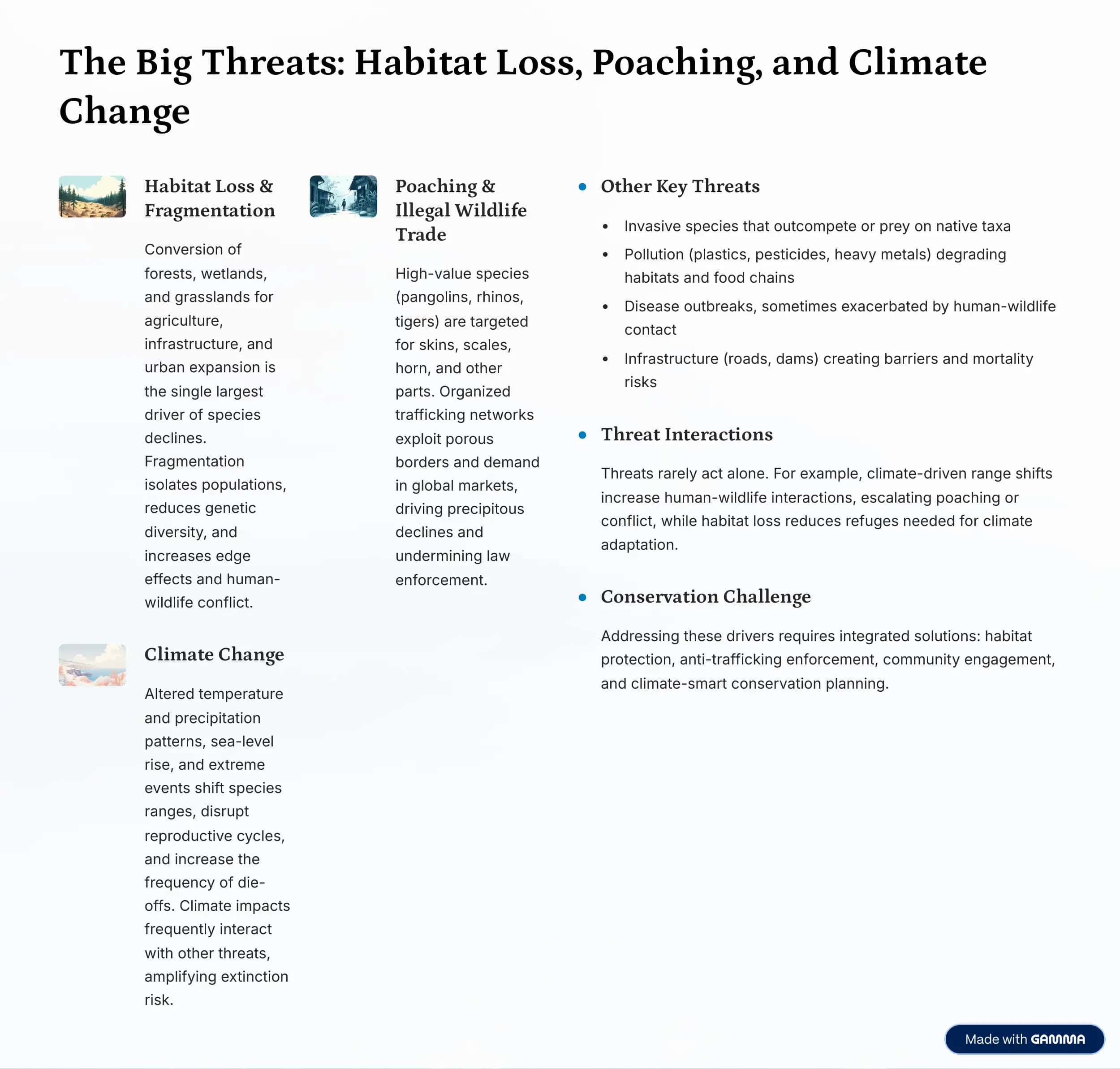 The Silent Extinction: Understanding Endangered Animals 3