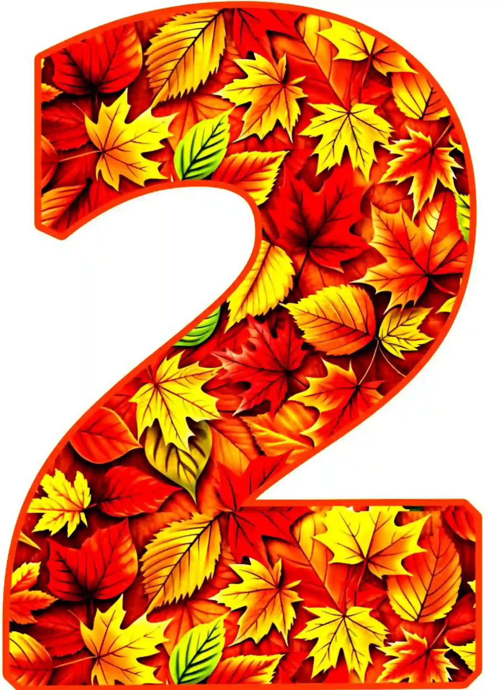 Raqamlar rasmi 3