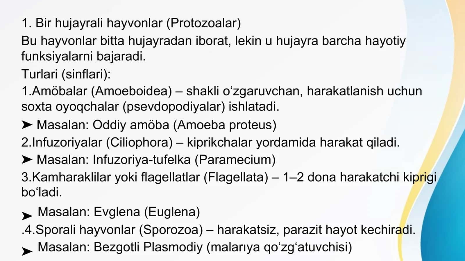 Sodda hayvonlar 3