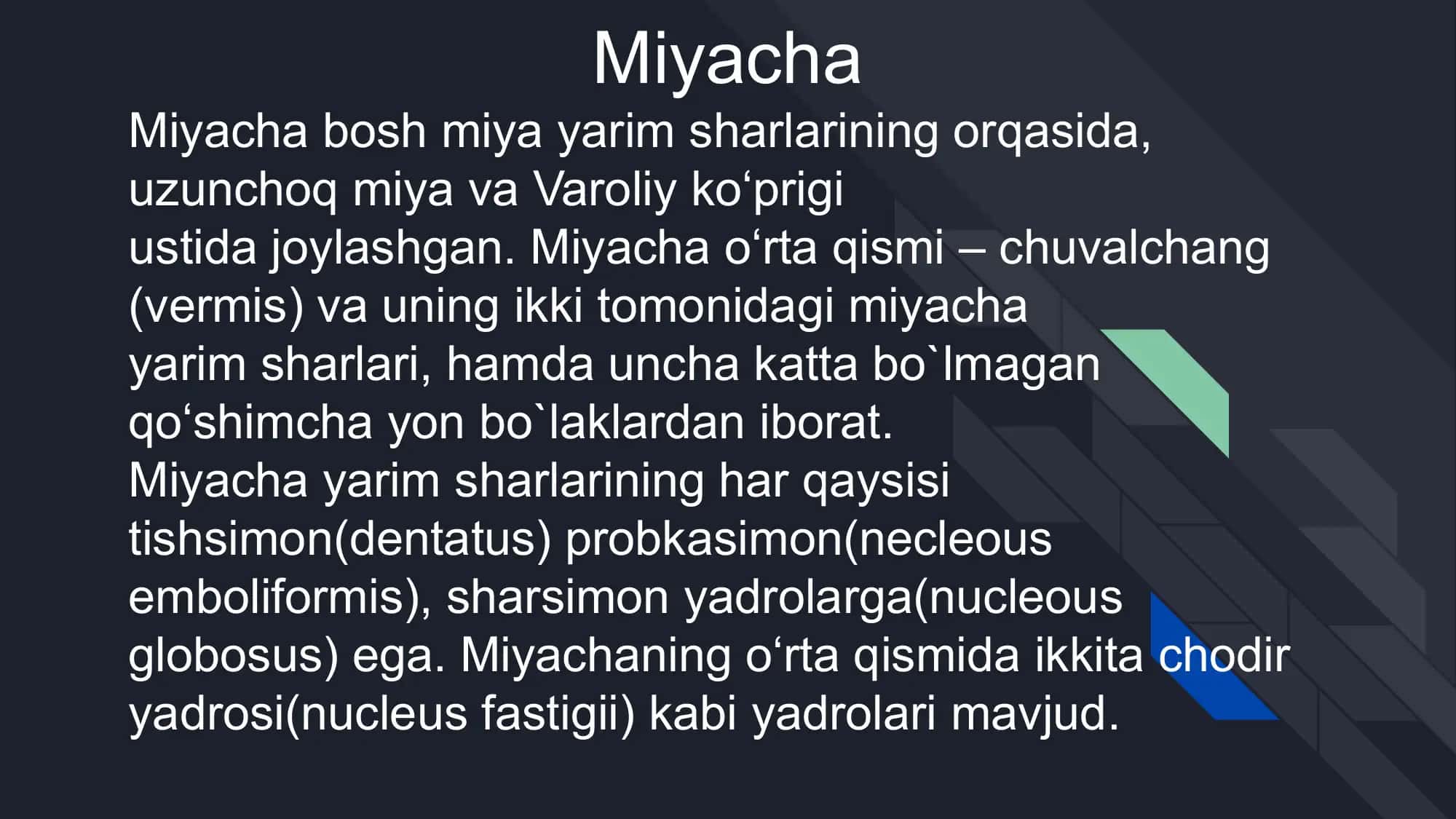 Oraliq miya va miyacha ﬁziologiyasi 3