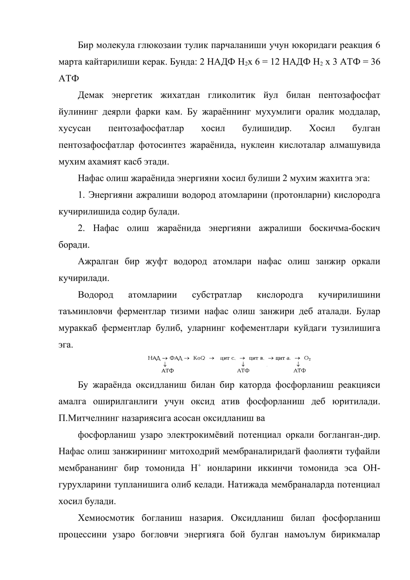 Нафас олиш механизмлари 3