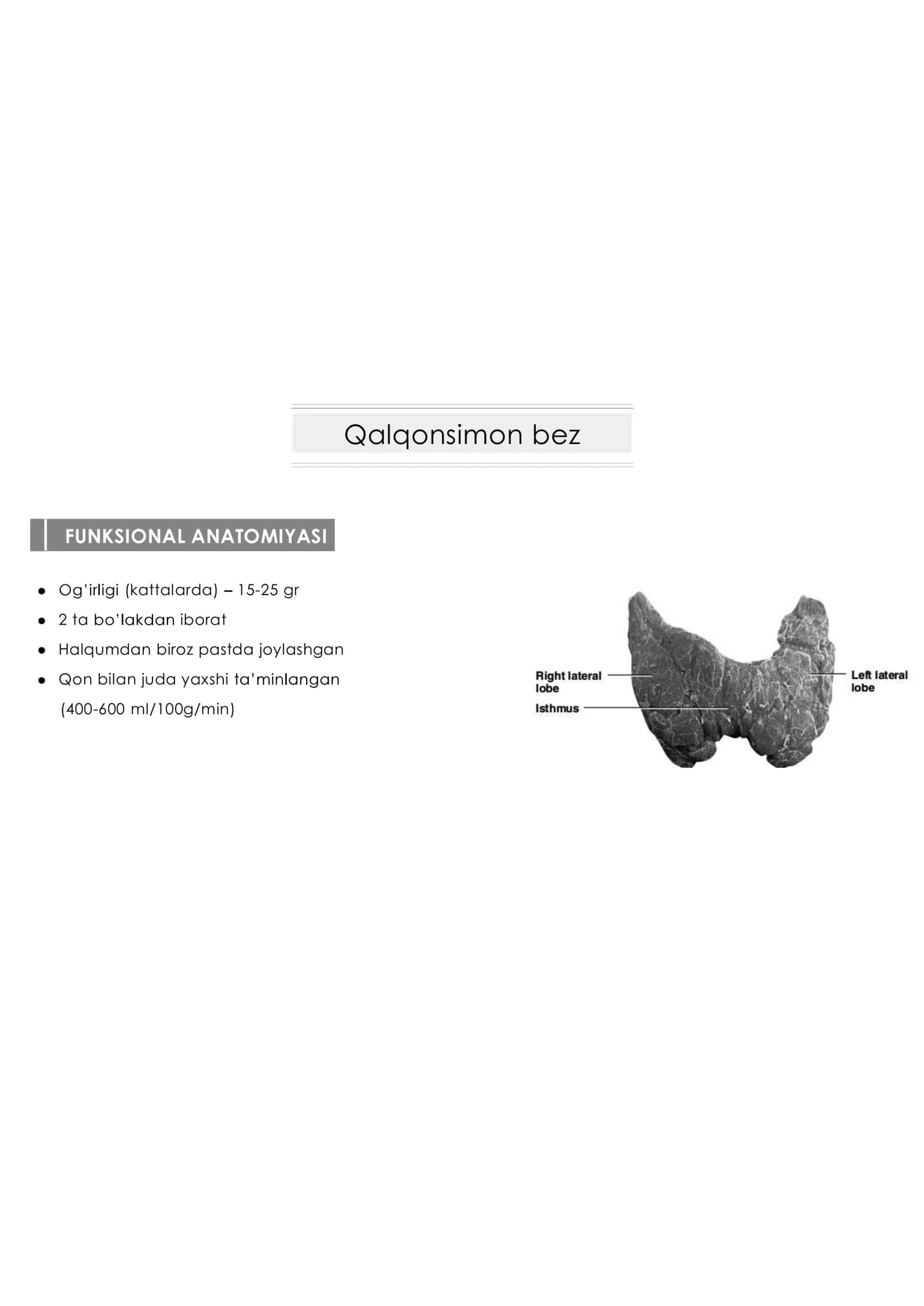 Endokrin sistema fiziologiyasi 3