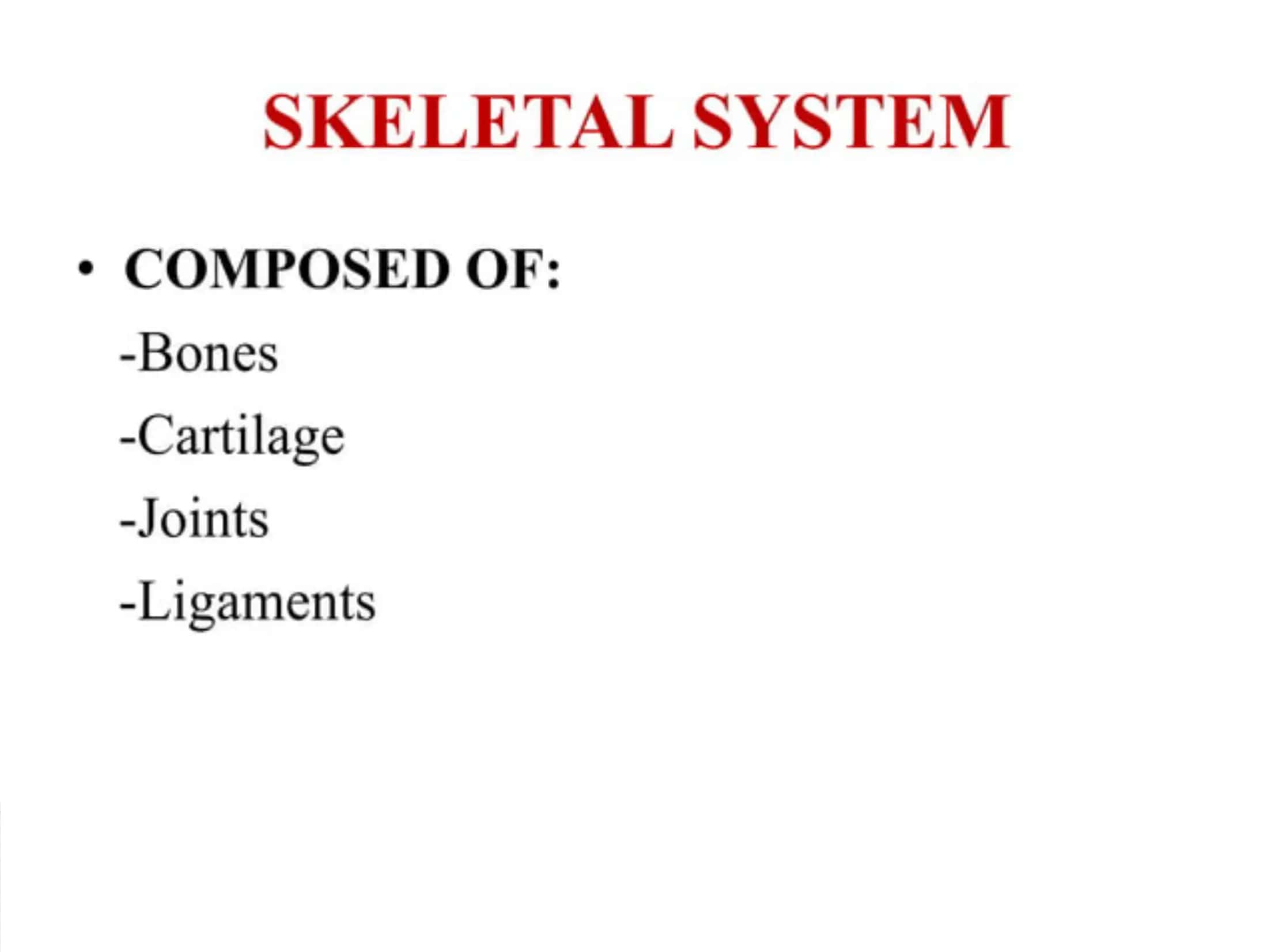 The skeletal system of a human being 3