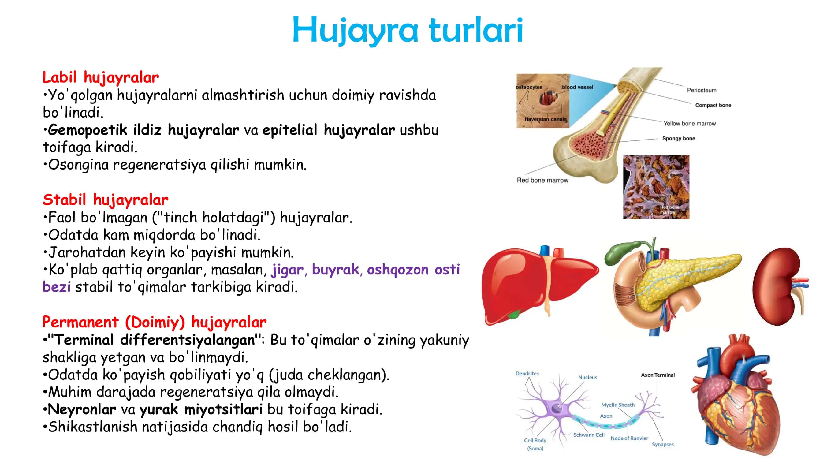 PATOLOGIYA 3
