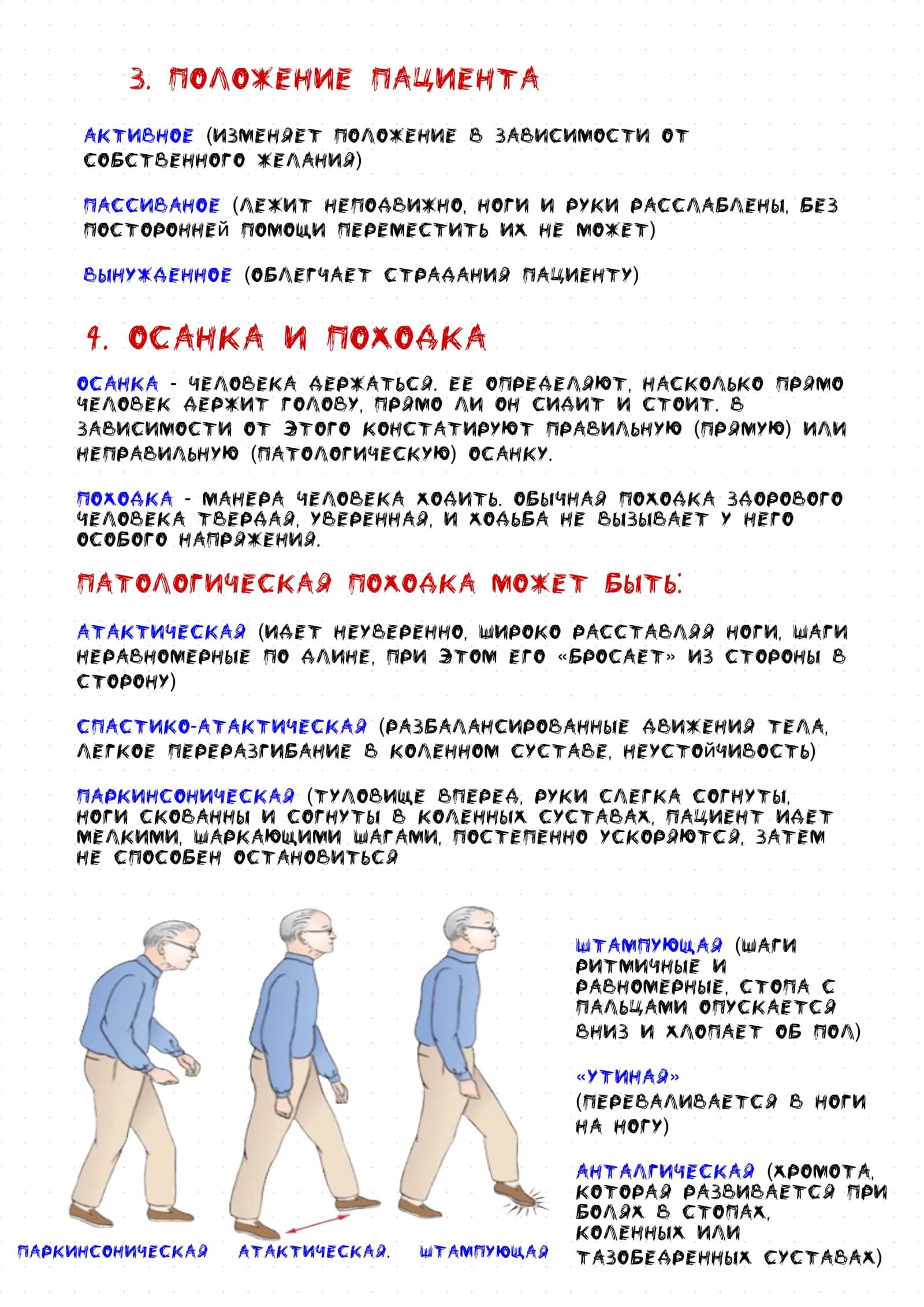 Общий осмотр 3