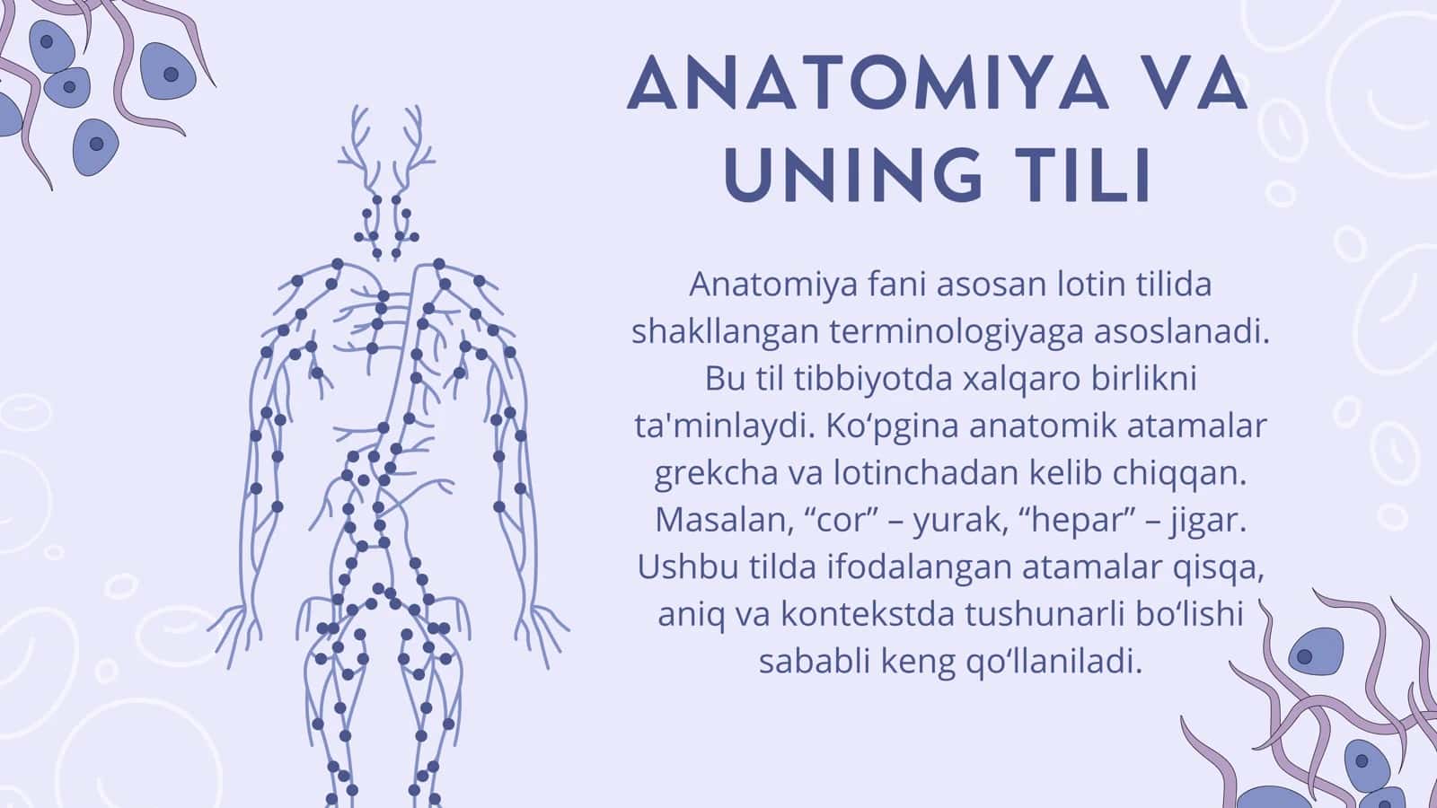 ANATAMIK IBORALARNING TARJIMASI 3