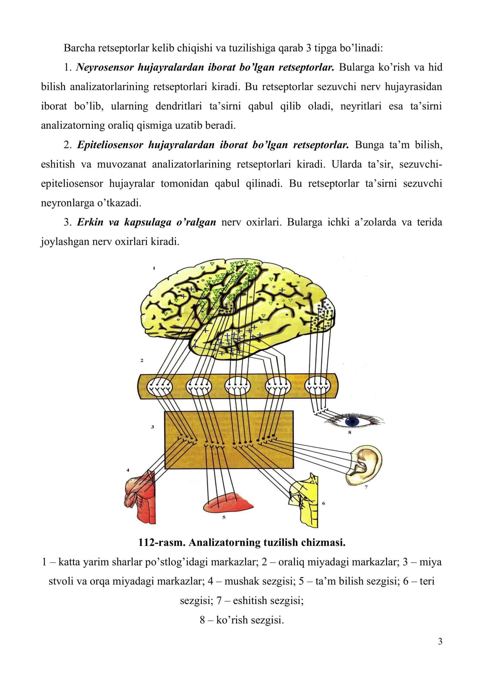 Sezgi organlari 3