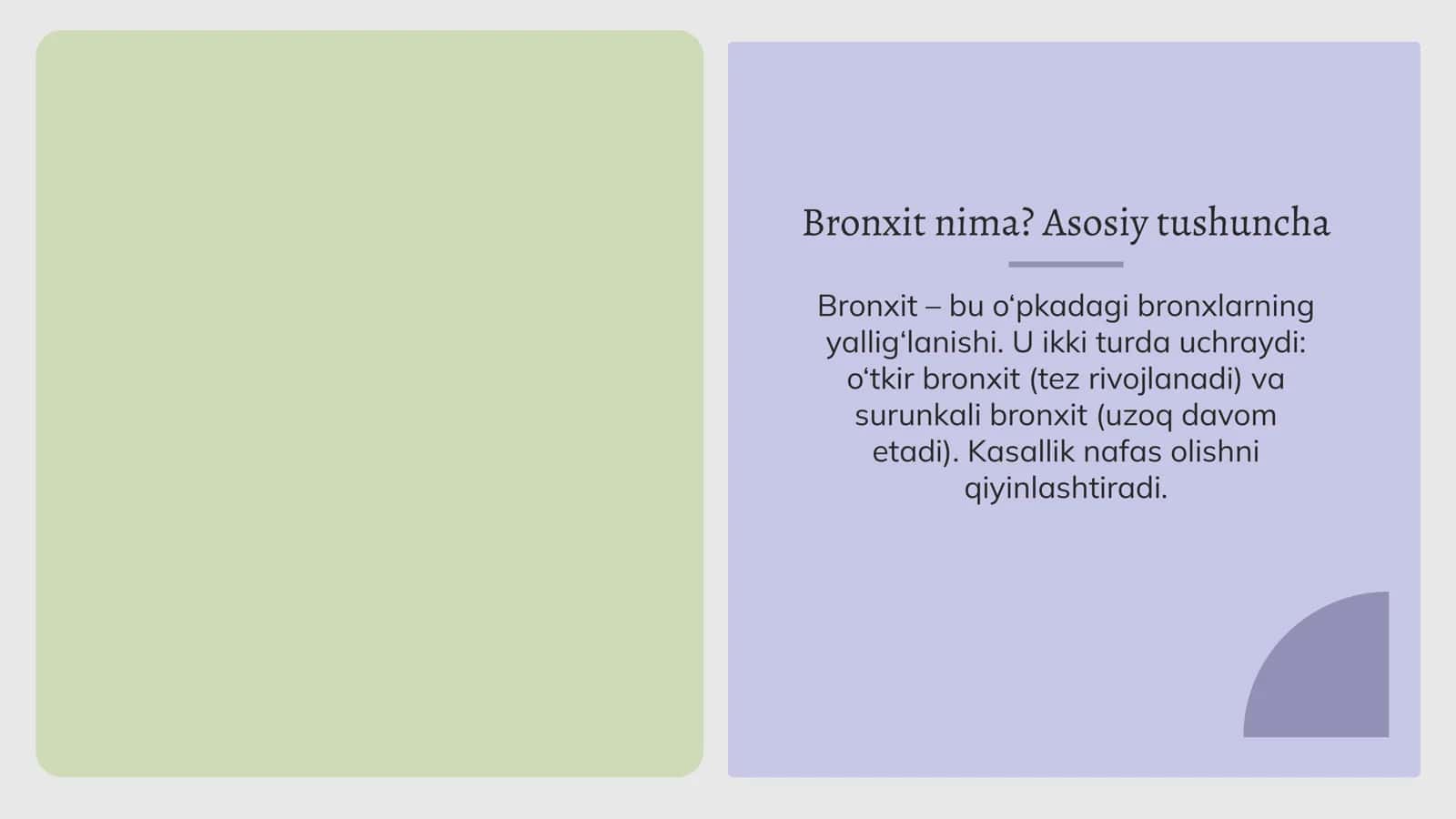 Bronxitlar 3