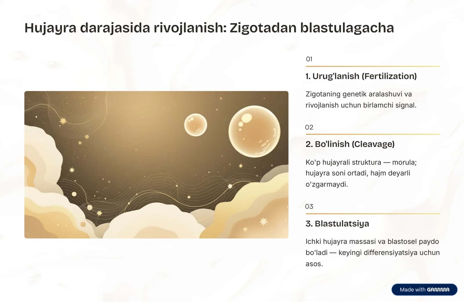 A'zolar sistemasi rivojlanish evolutsiyasi: Ontofilogenez 3