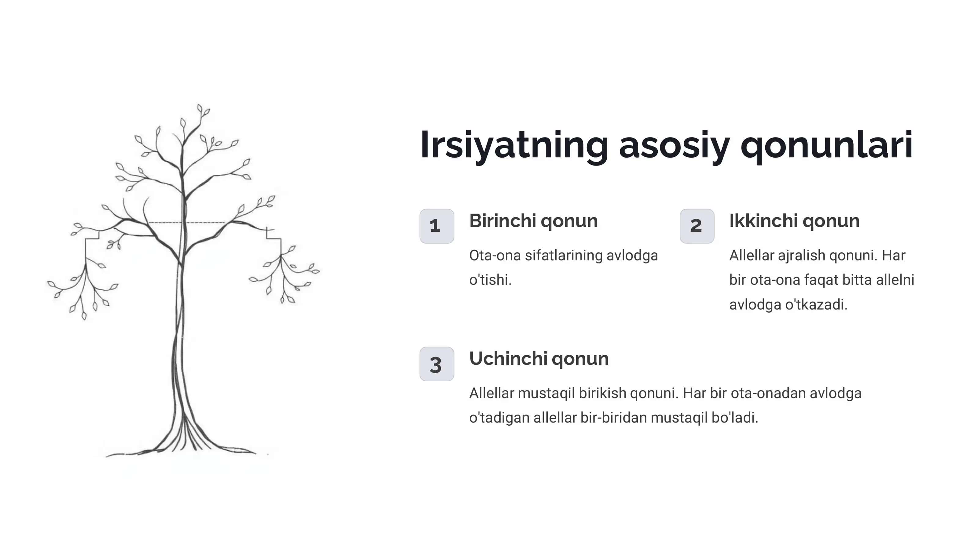 Antropogenetika: Odam Irsiyatini O'rganish Usullari 3