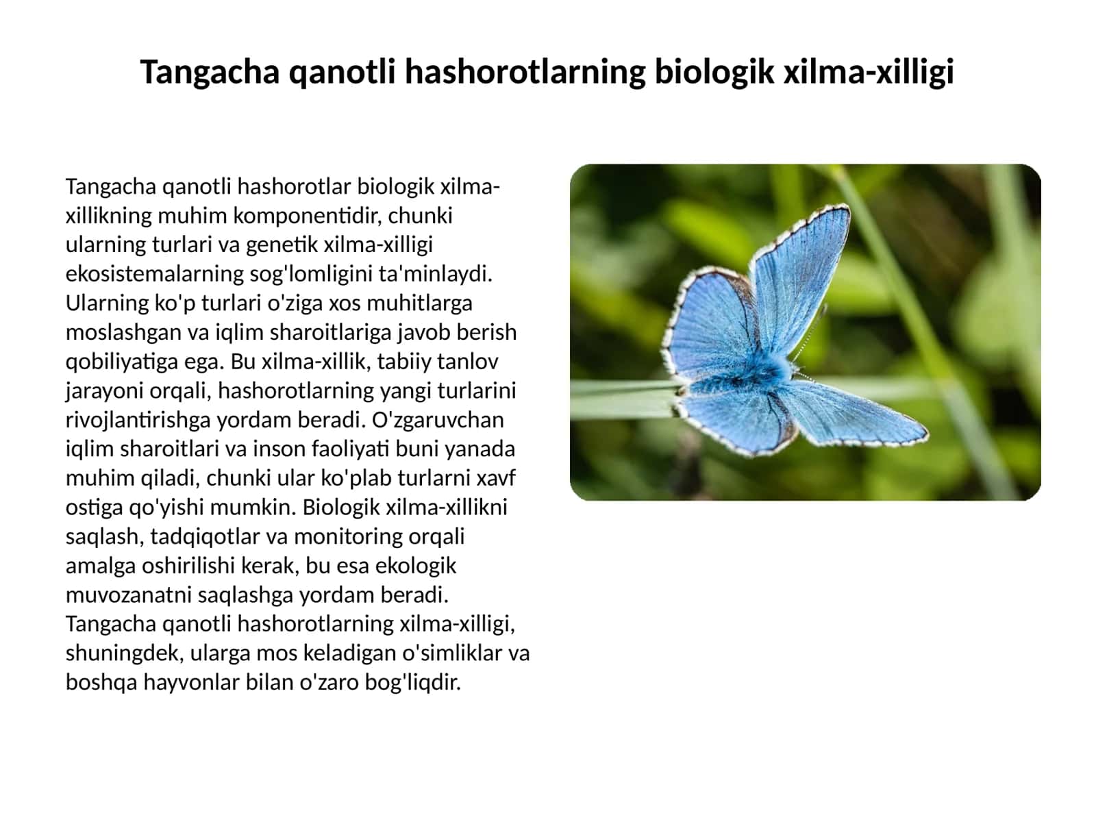 Tangacha qanotli hashorotlar 3