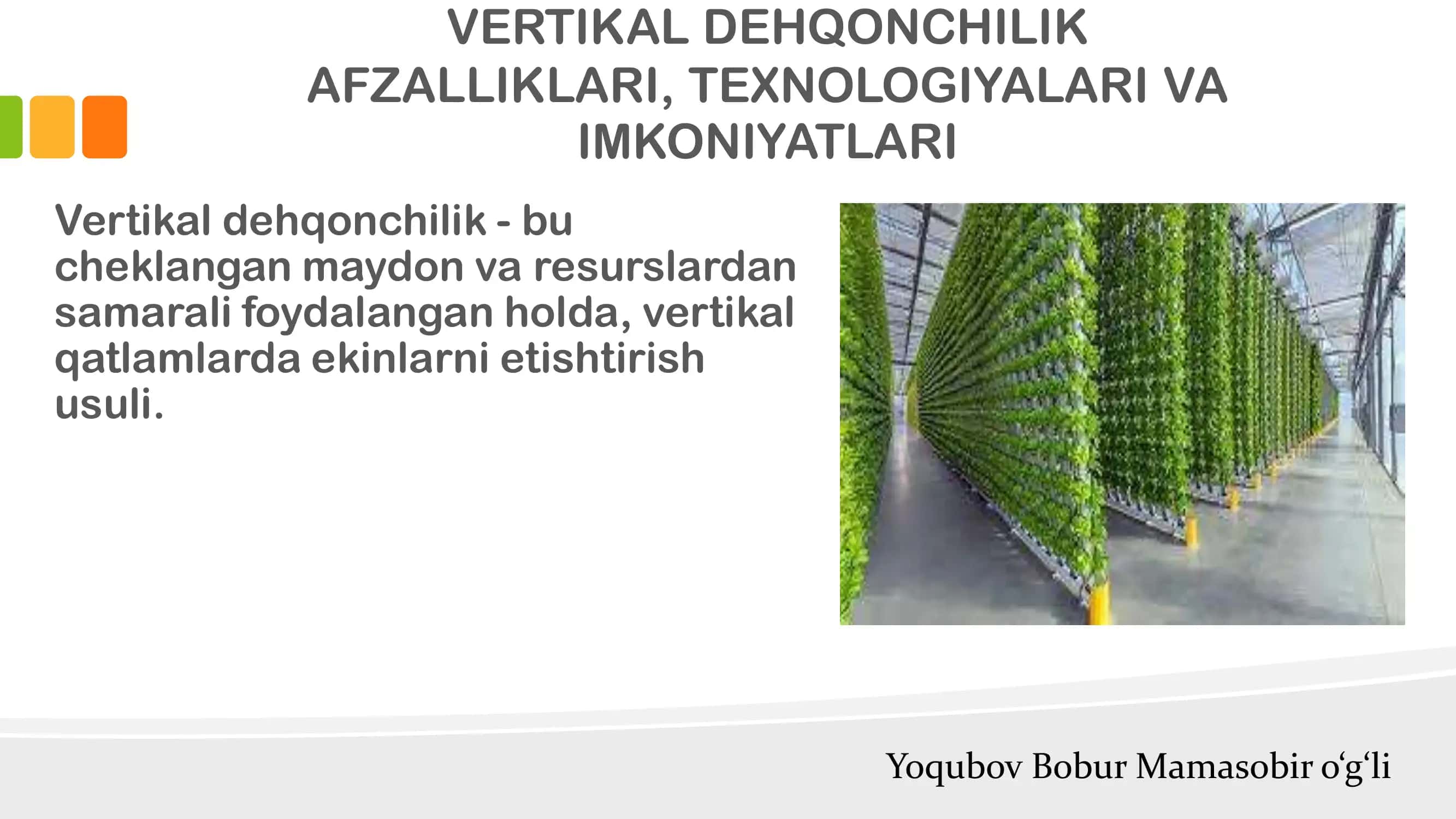 Vertikal dehqonchilik 3