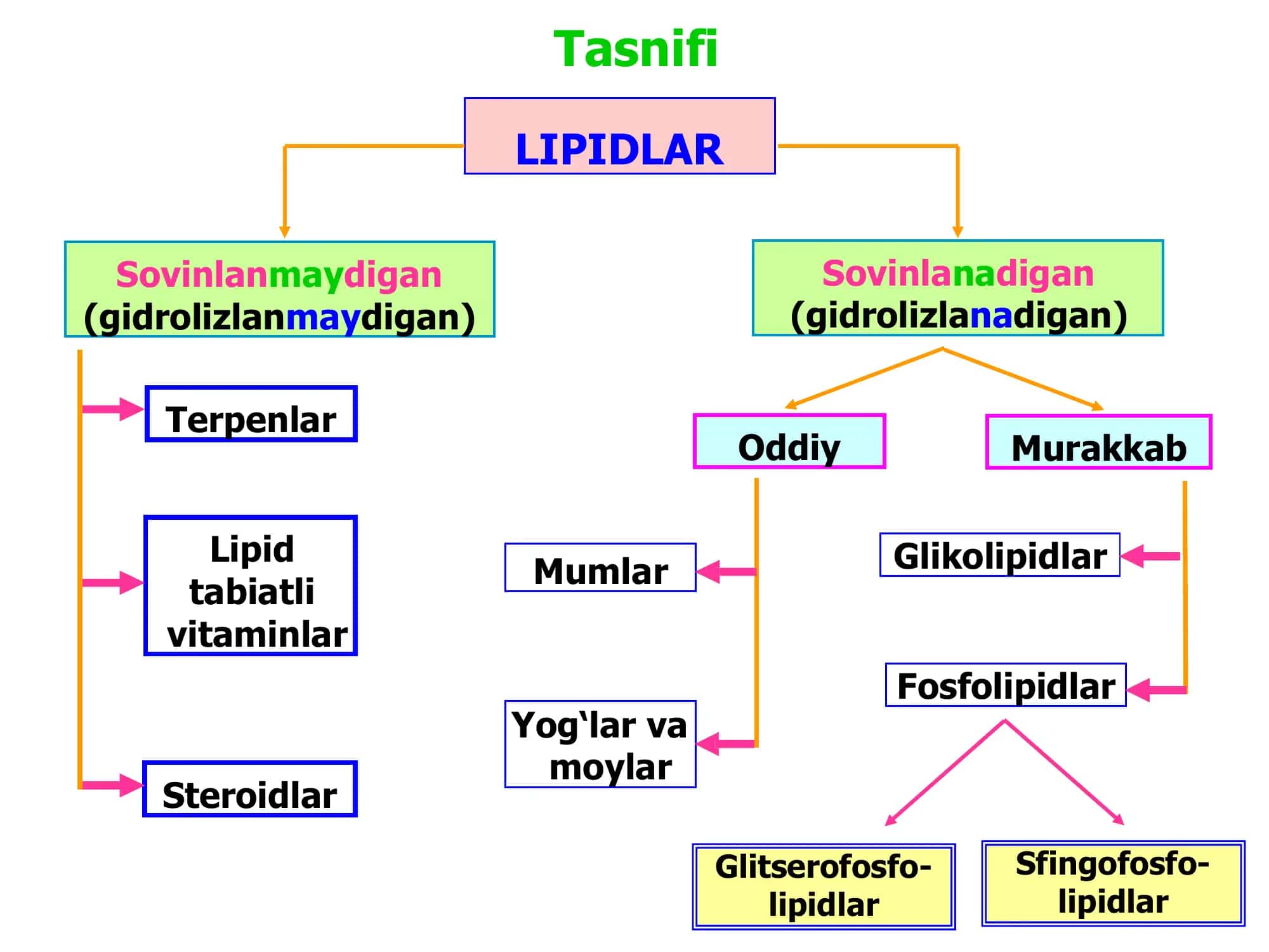 Lipidlar va ular tuzulishlari 3